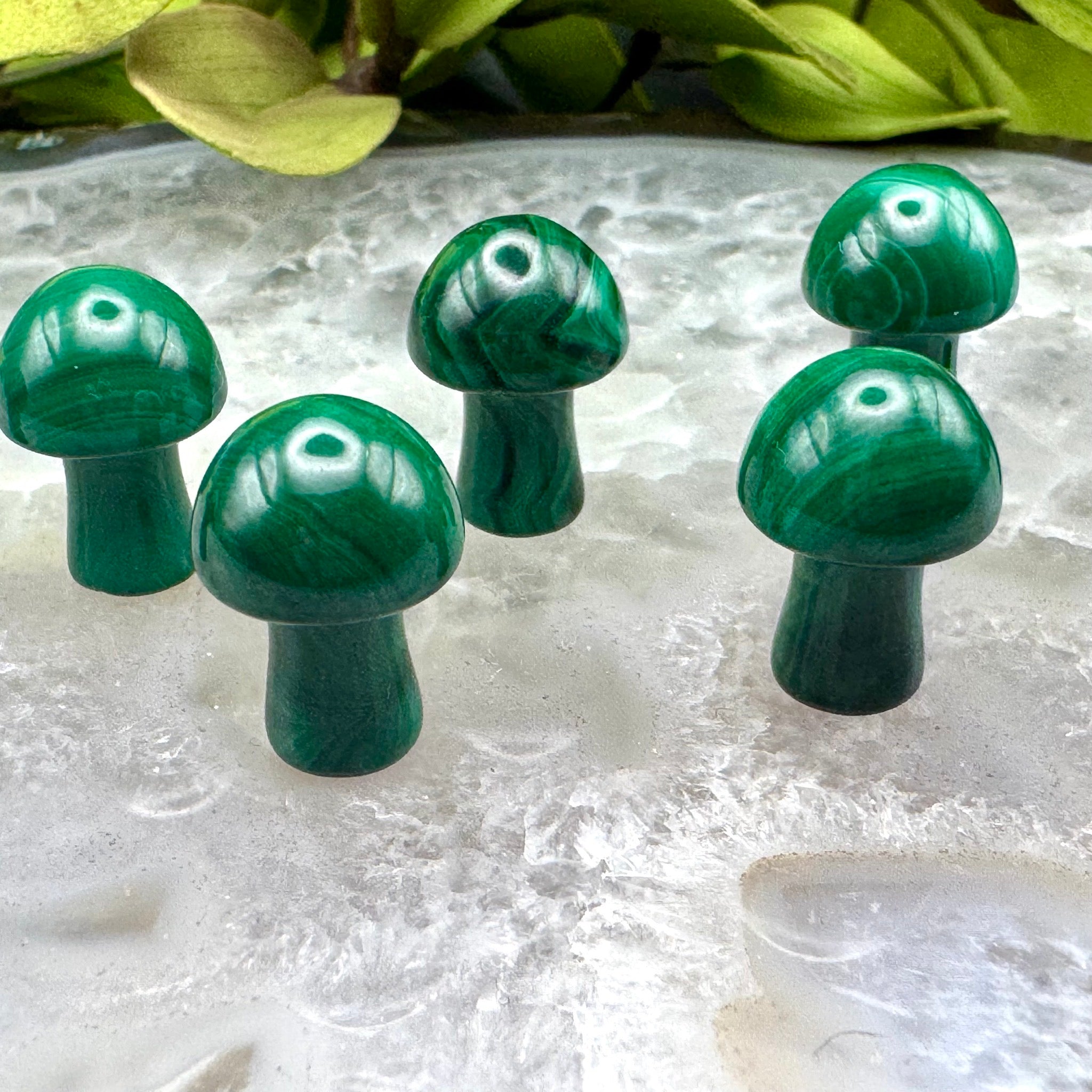 Mini Malachite Mushroom