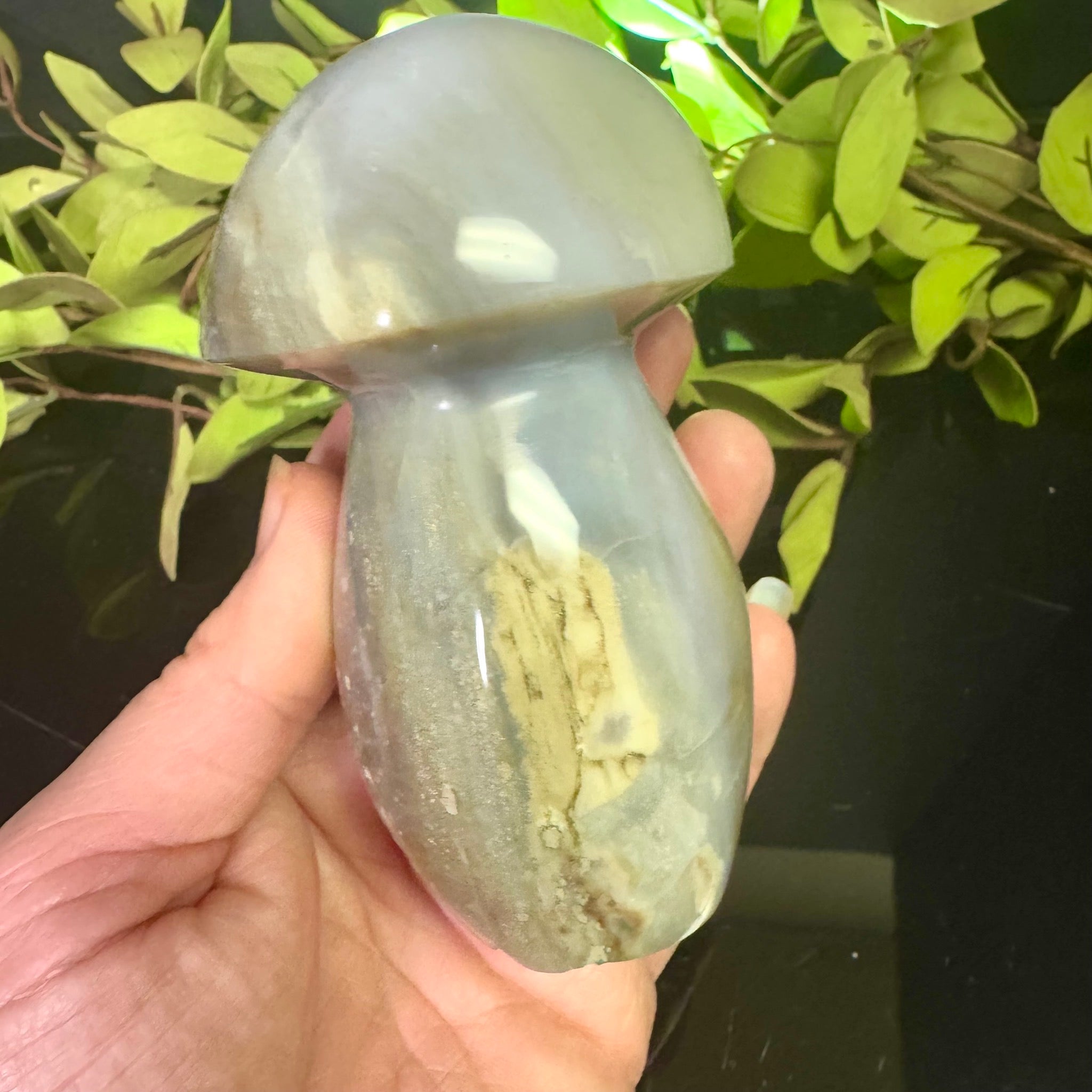 Ocean Jasper Mushroom