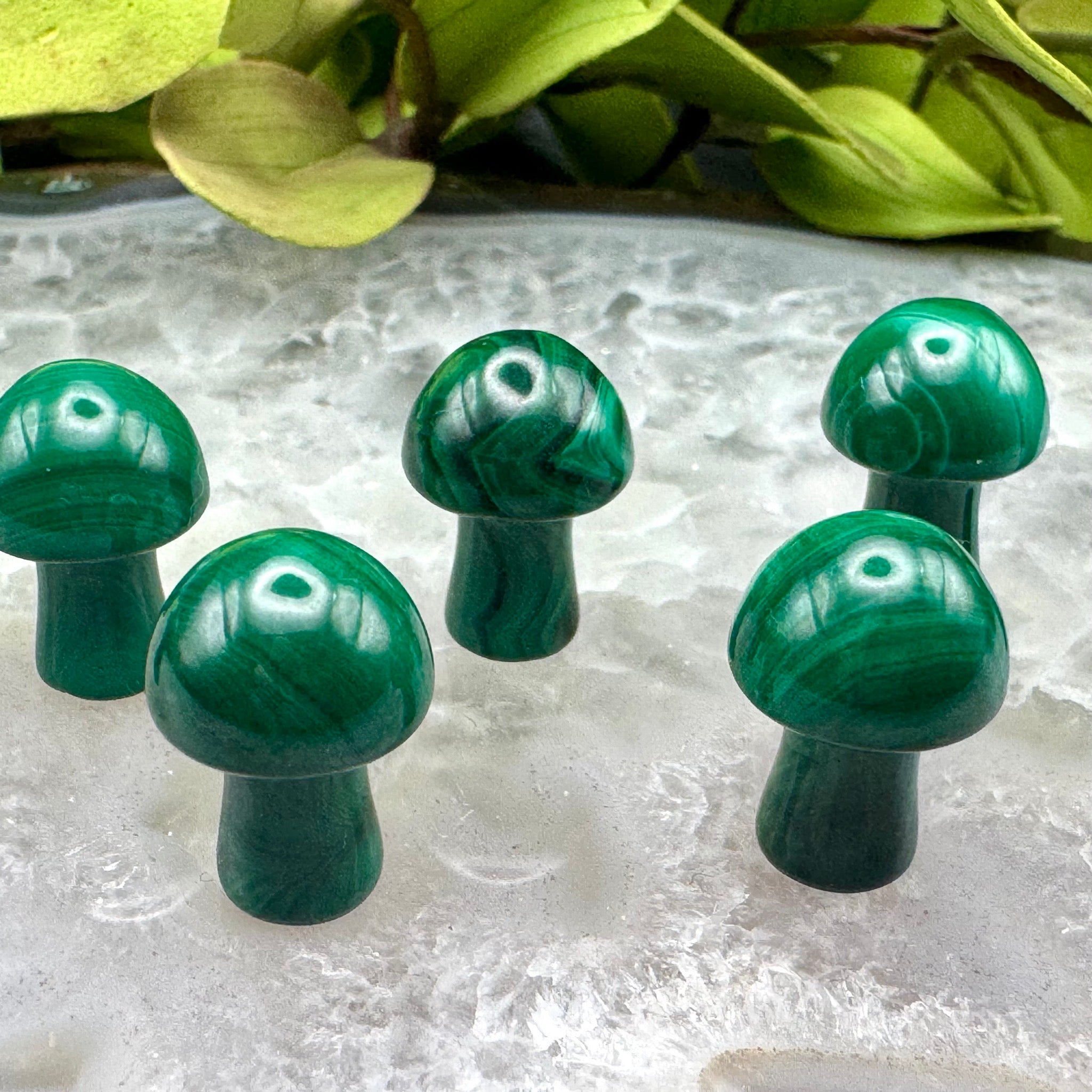Mini Malachite Mushroom