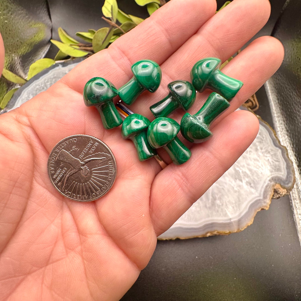 Mini Malachite Mushroom