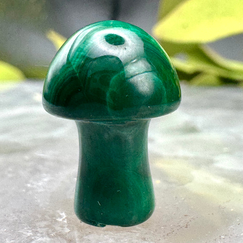 Mini Malachite Mushroom
