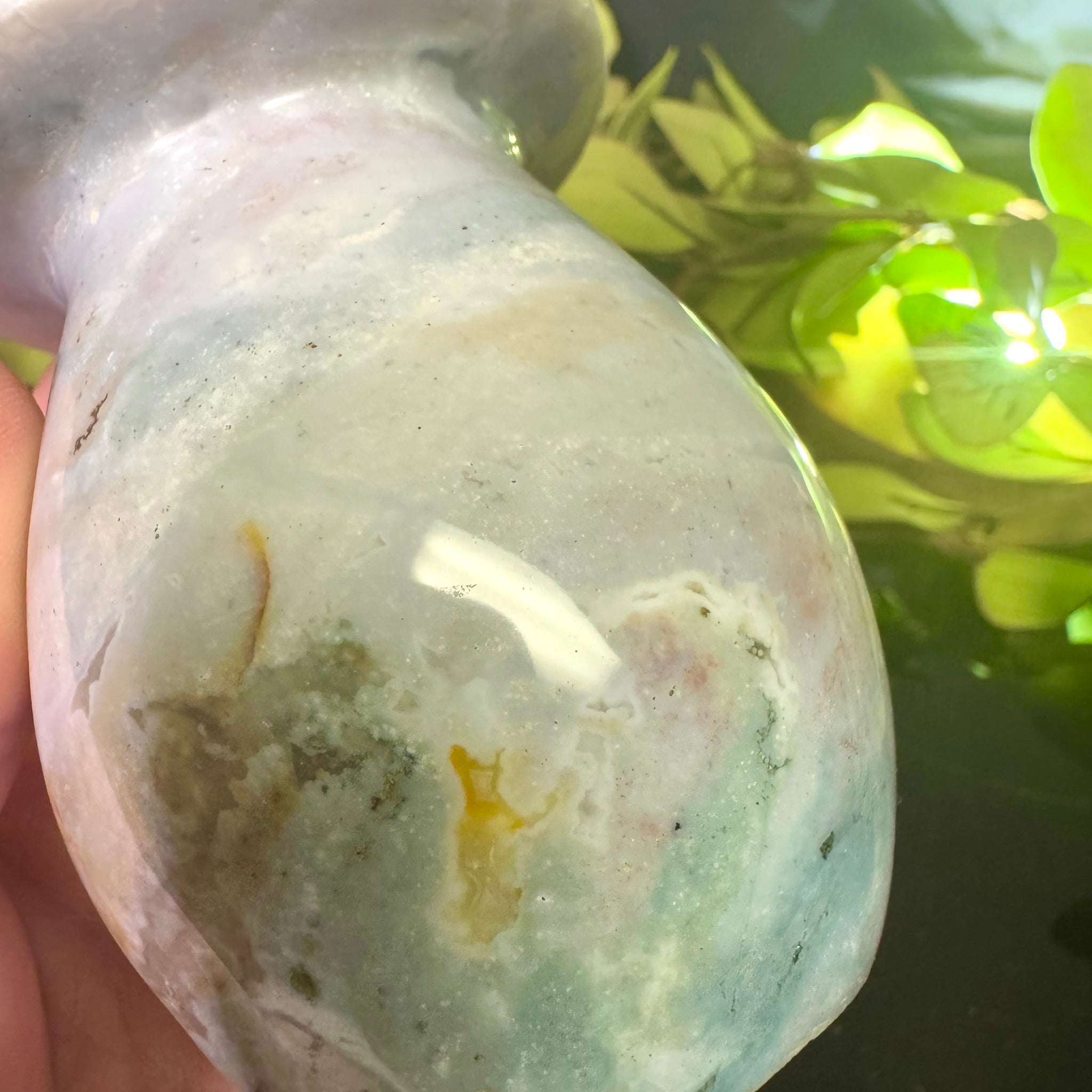 Ocean Jasper Mushroom