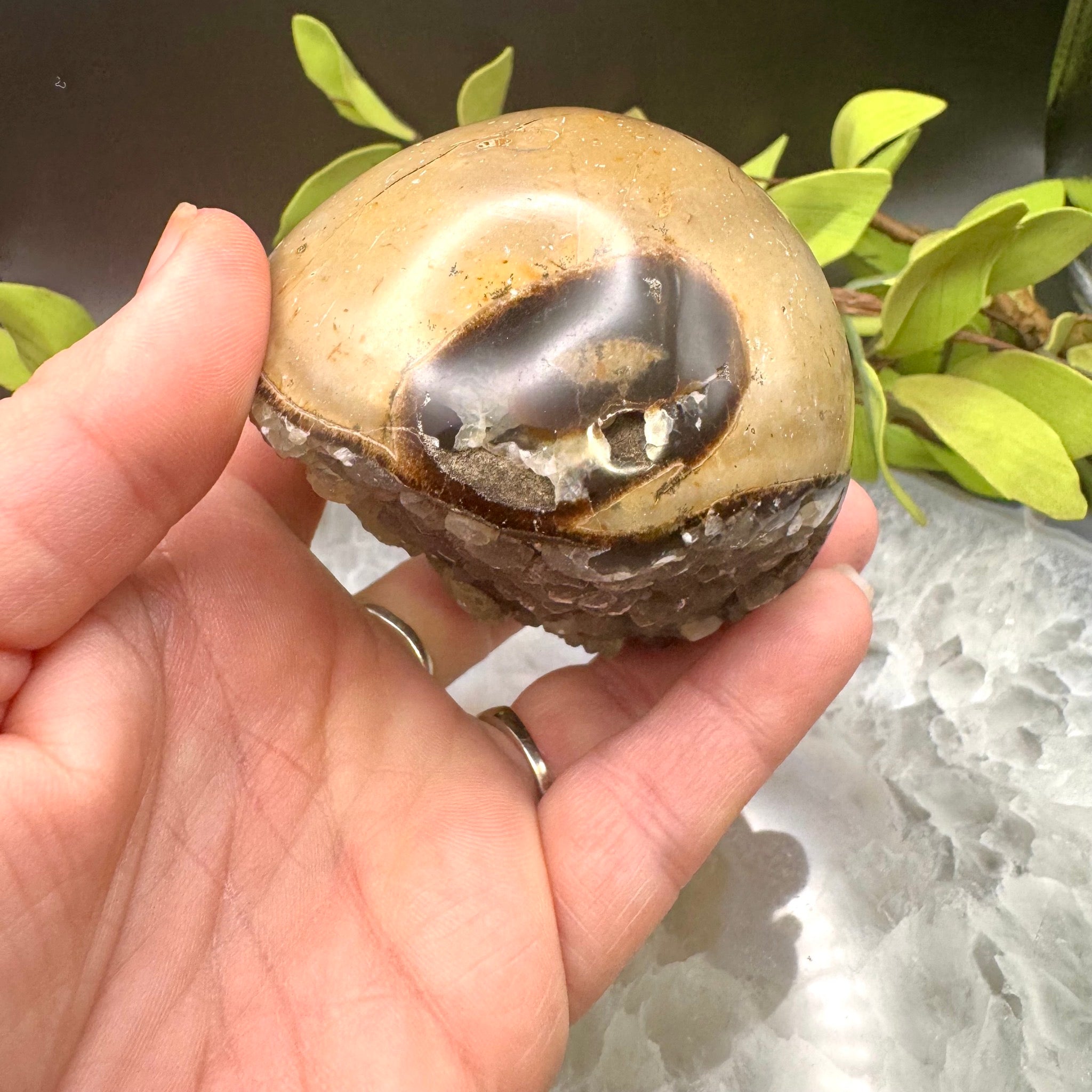 Septarian Sphere