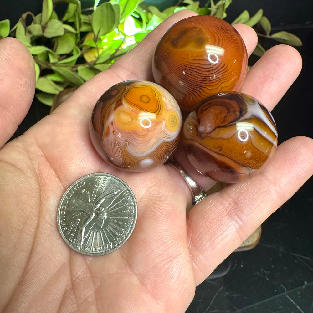 Sardonyx Sphere