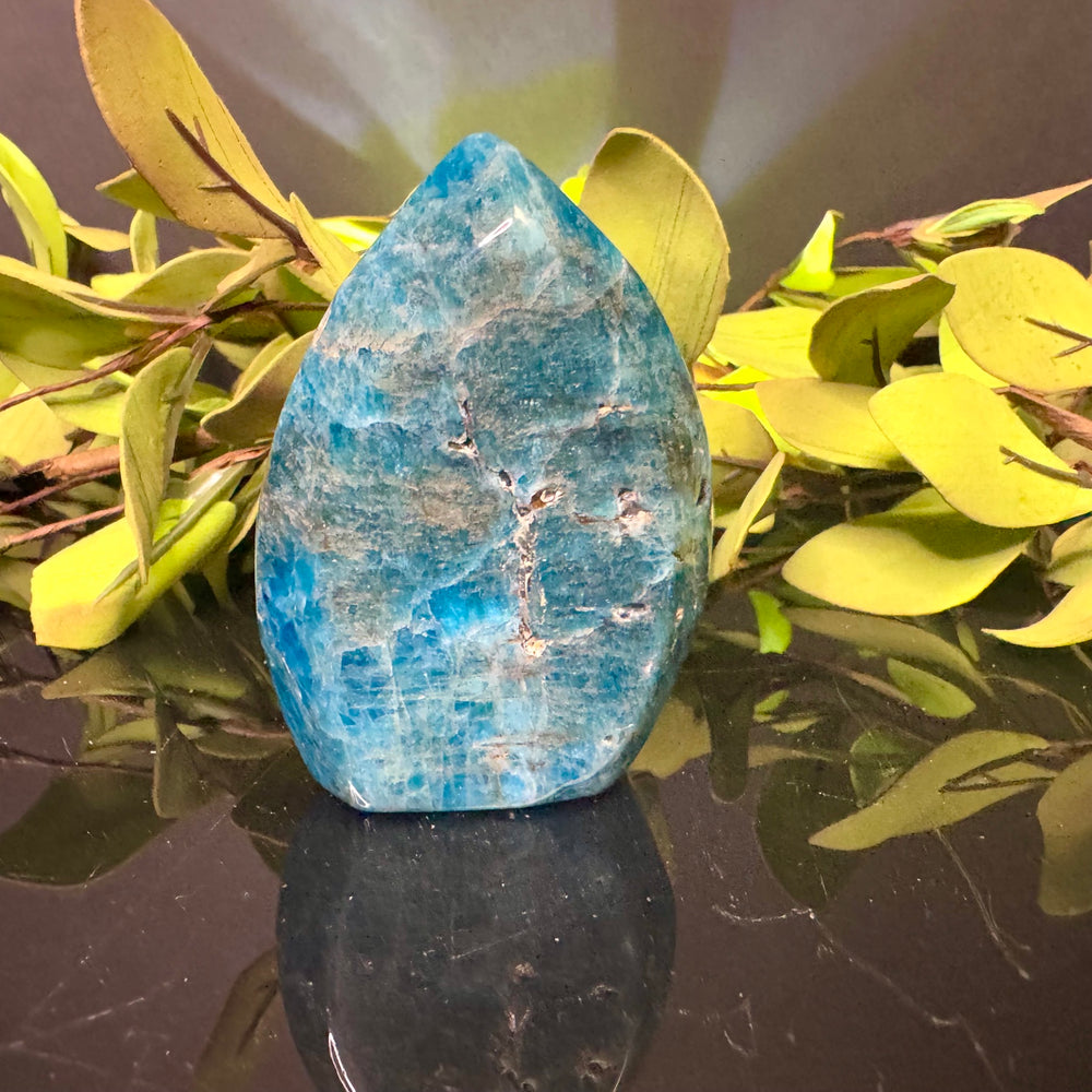 Blue Apatite Free Form