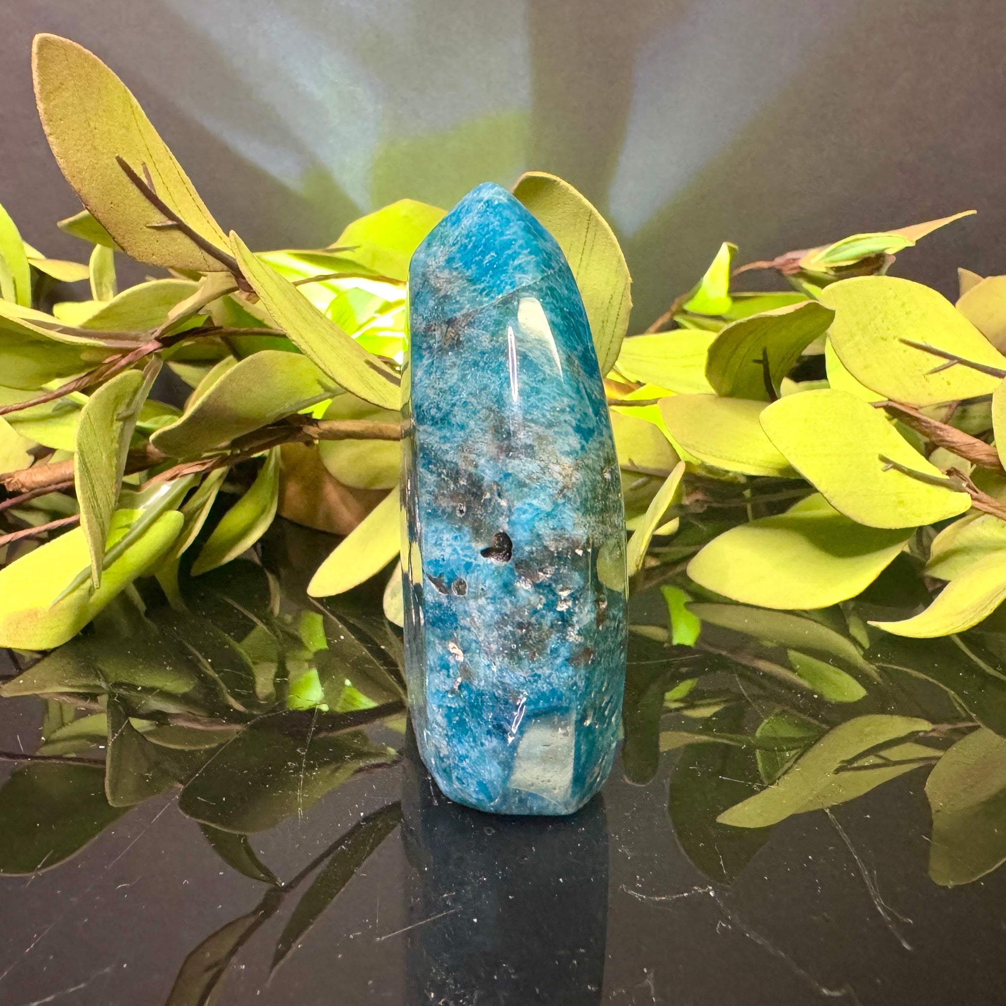 Blue Apatite Free Form