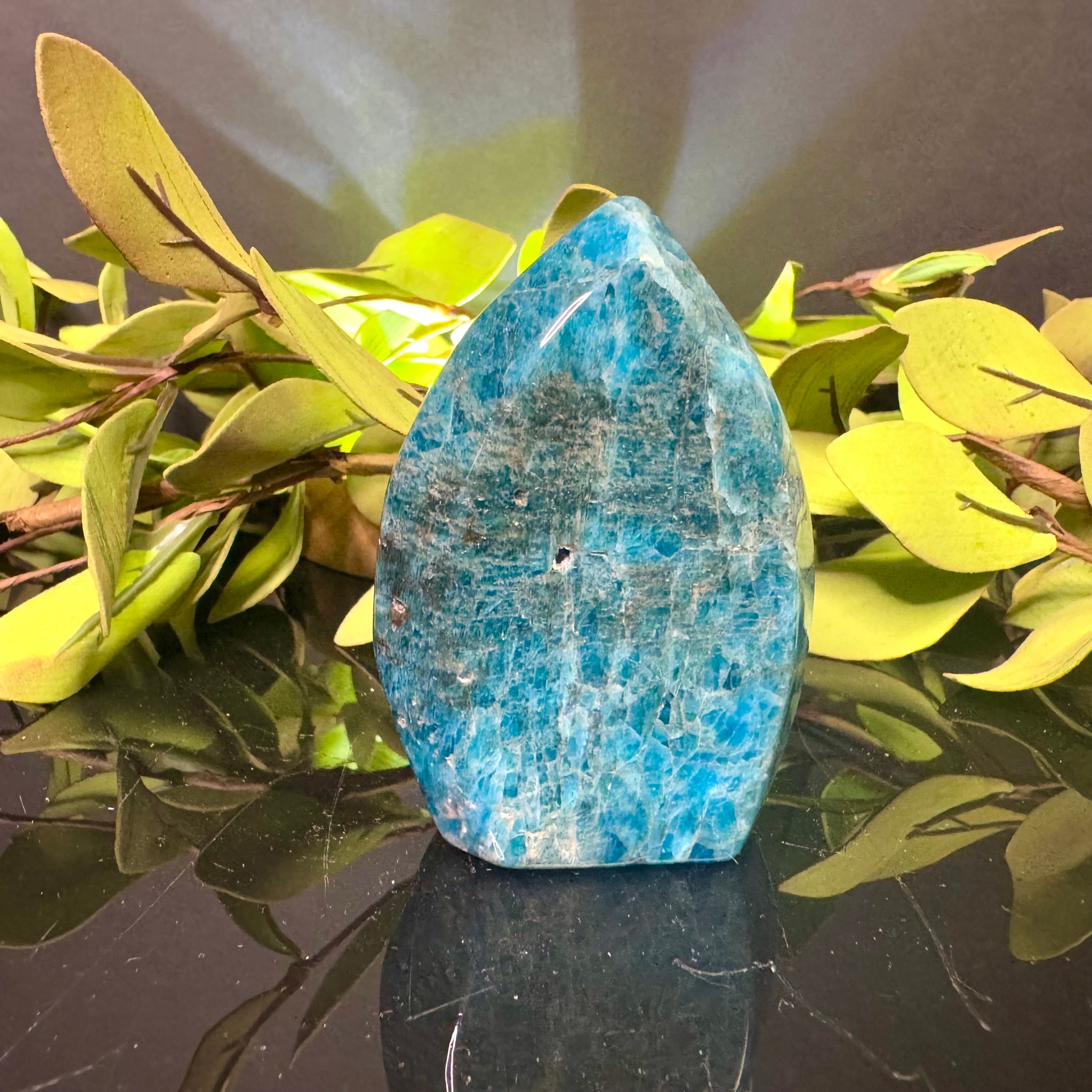 Blue Apatite Free Form