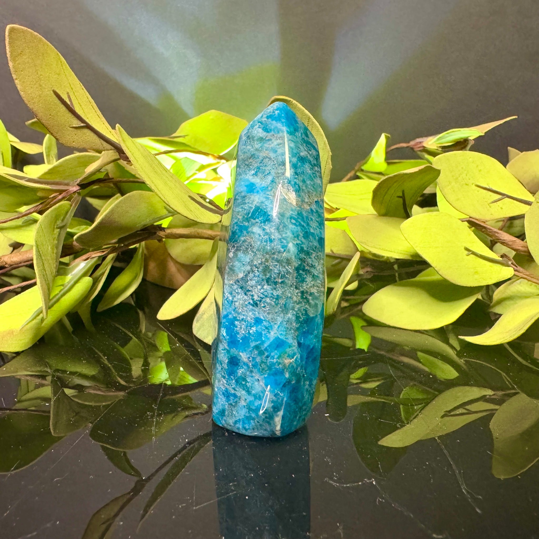 Blue Apatite Free Form