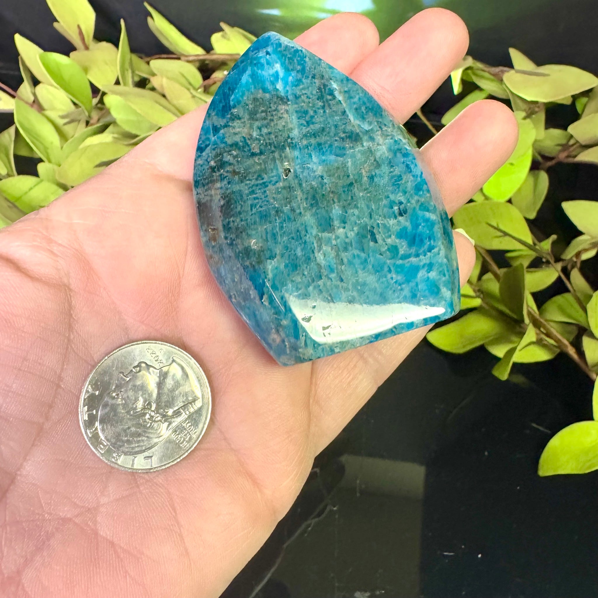 Blue Apatite Free Form