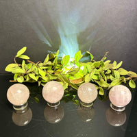 Four Rose Quartz Spheres on stands with green leaves on a reflective black surface