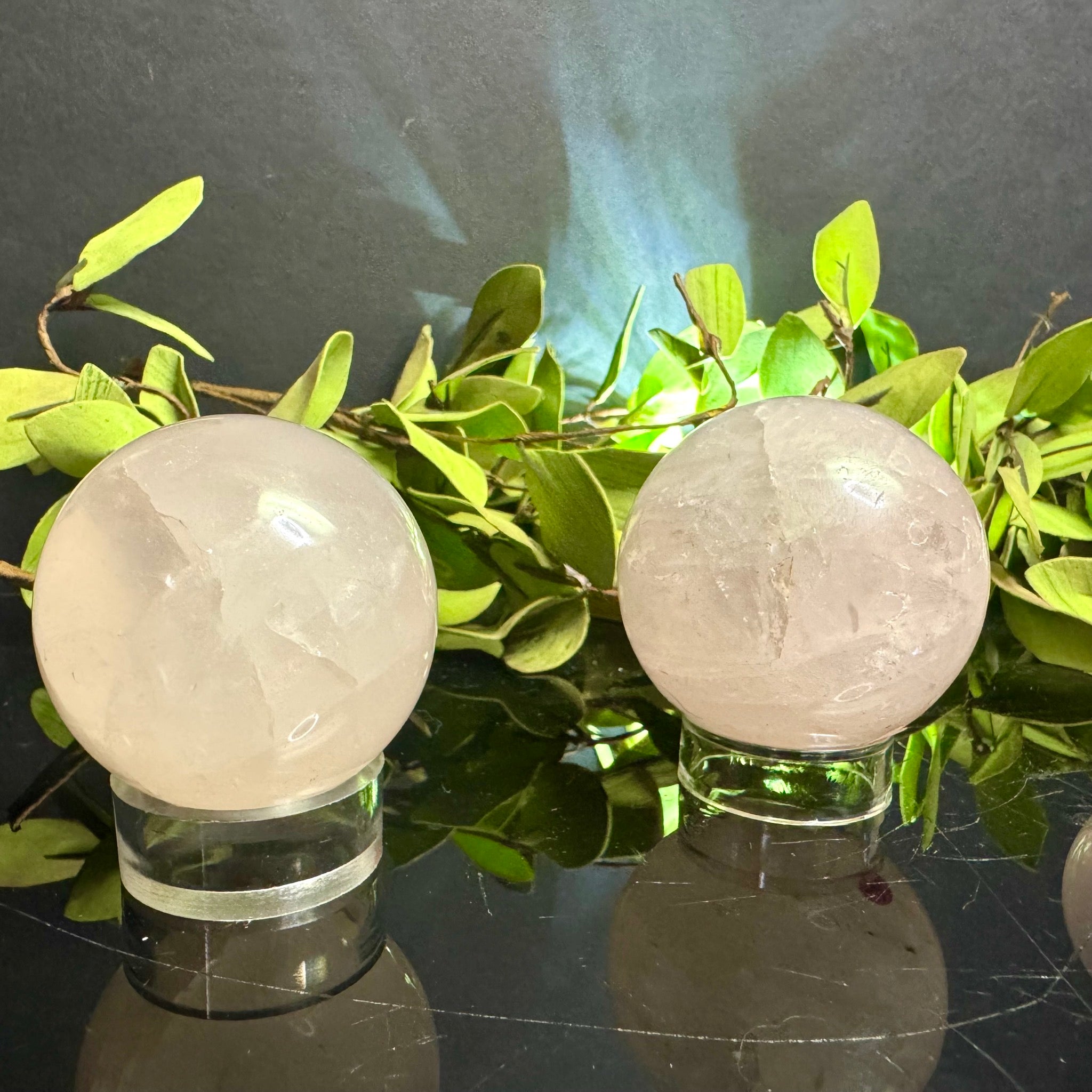 Two Rose Quartz spheres on stands with green leaves in the background