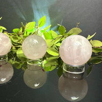 Rose Quartz on stands with green leaves in the background