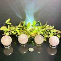 Four Rose Quartz spheres on stands with greenery and a coin on a reflective surface