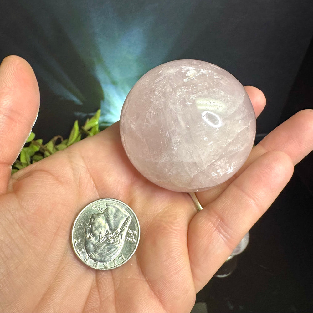 Hand holding a large rose Quartz crystal sphere next to a U.S. quarter coin for scale.