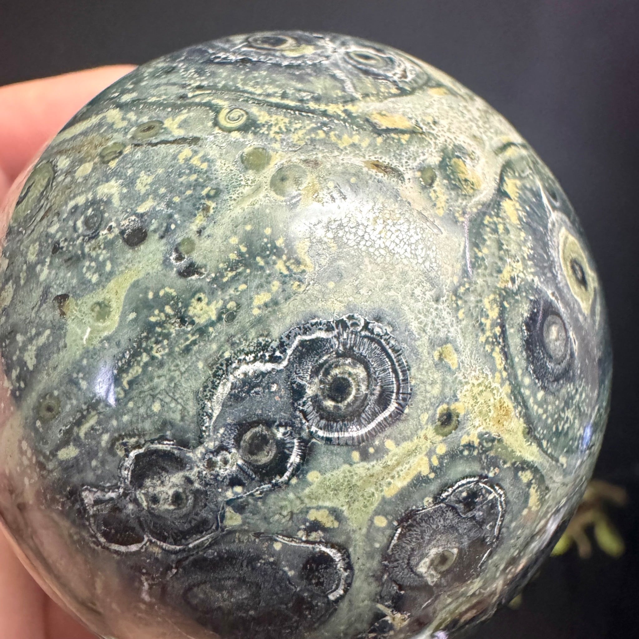Kambaba Jasper Sphere