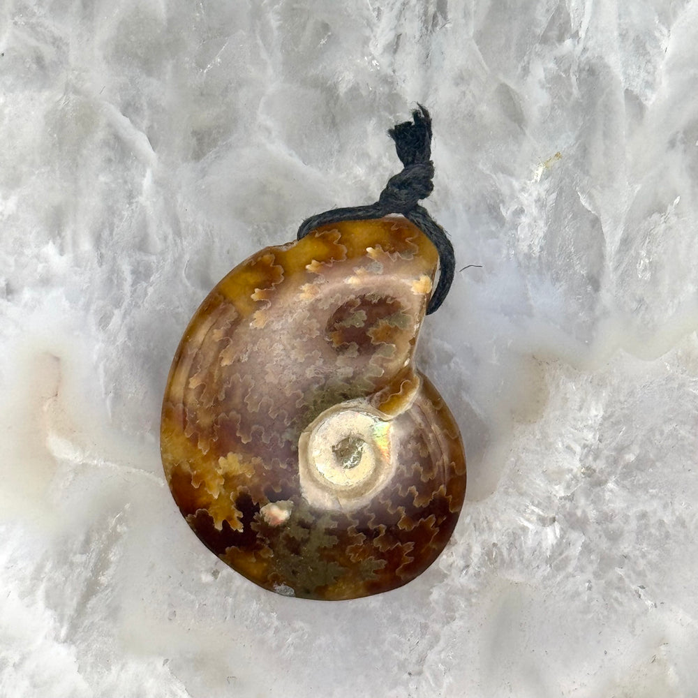 Ammonite Pendant