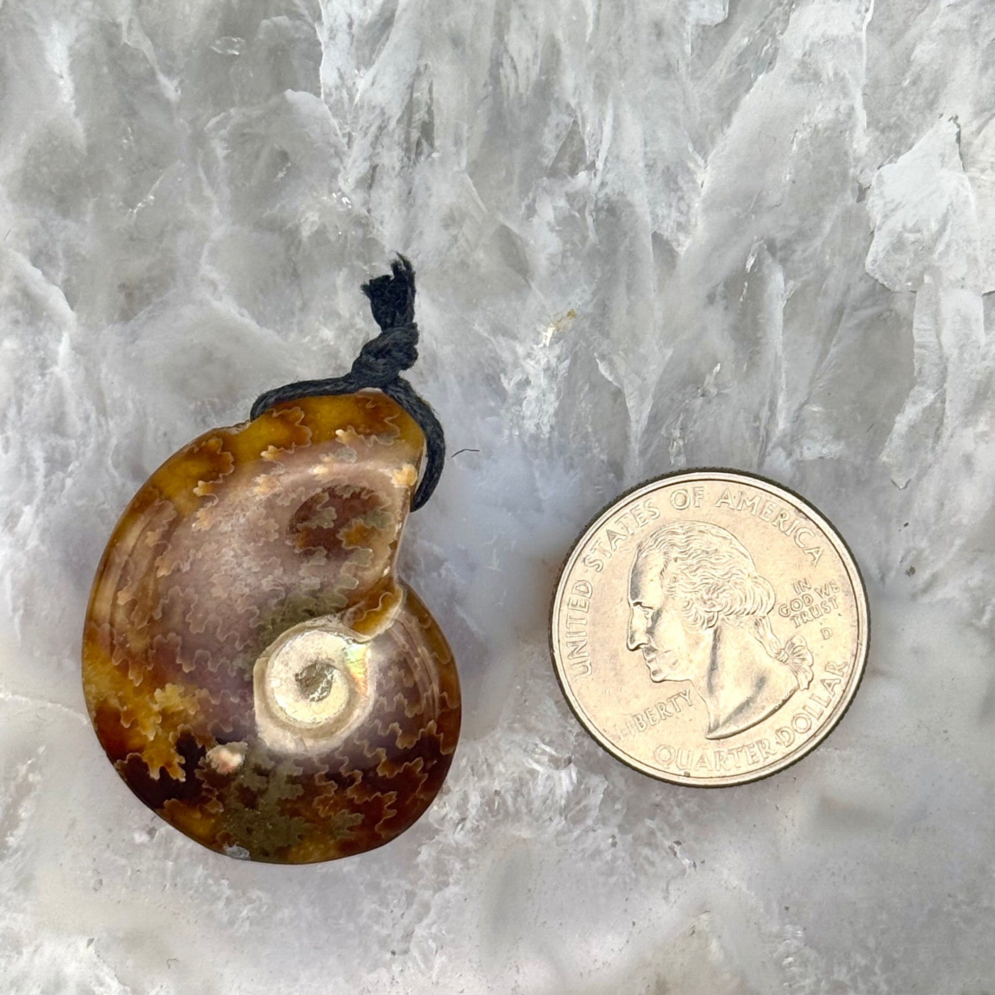 Ammonite Pendant