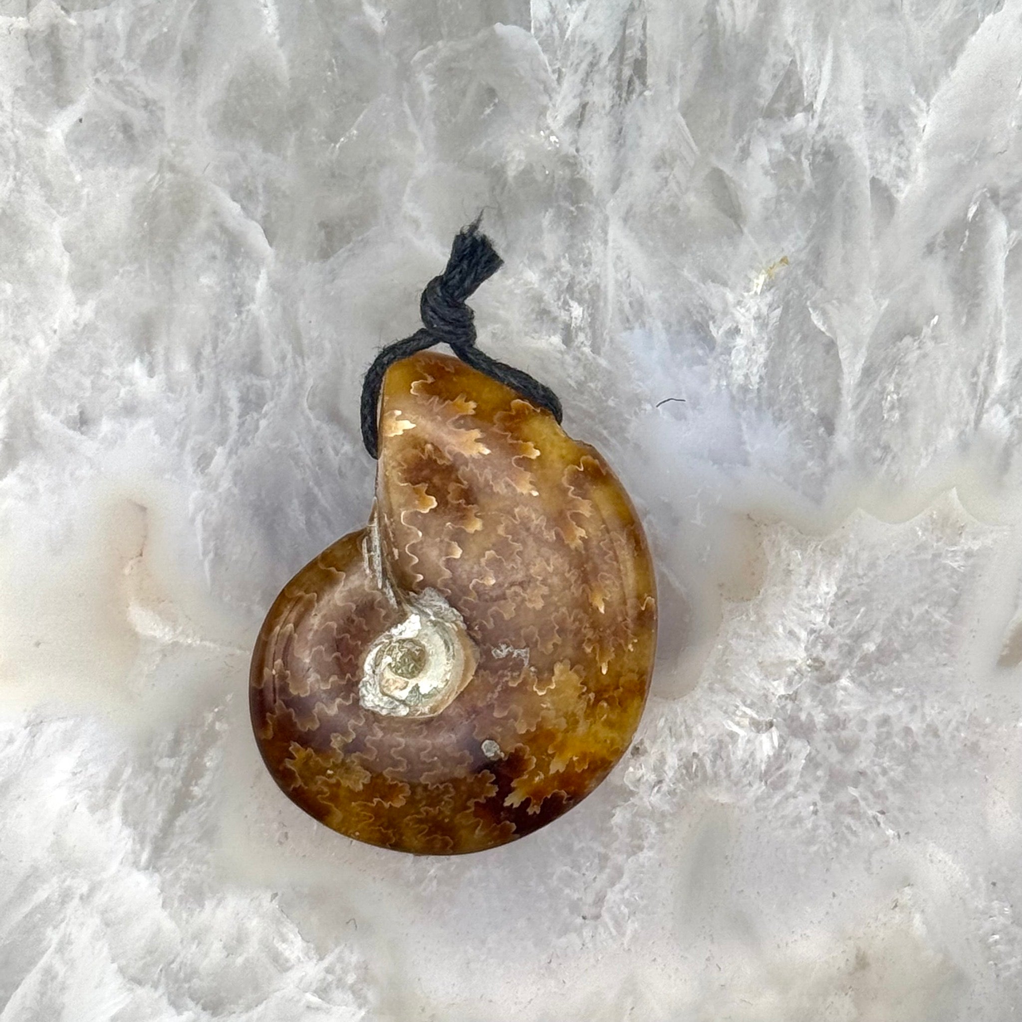 Ammonite Pendant