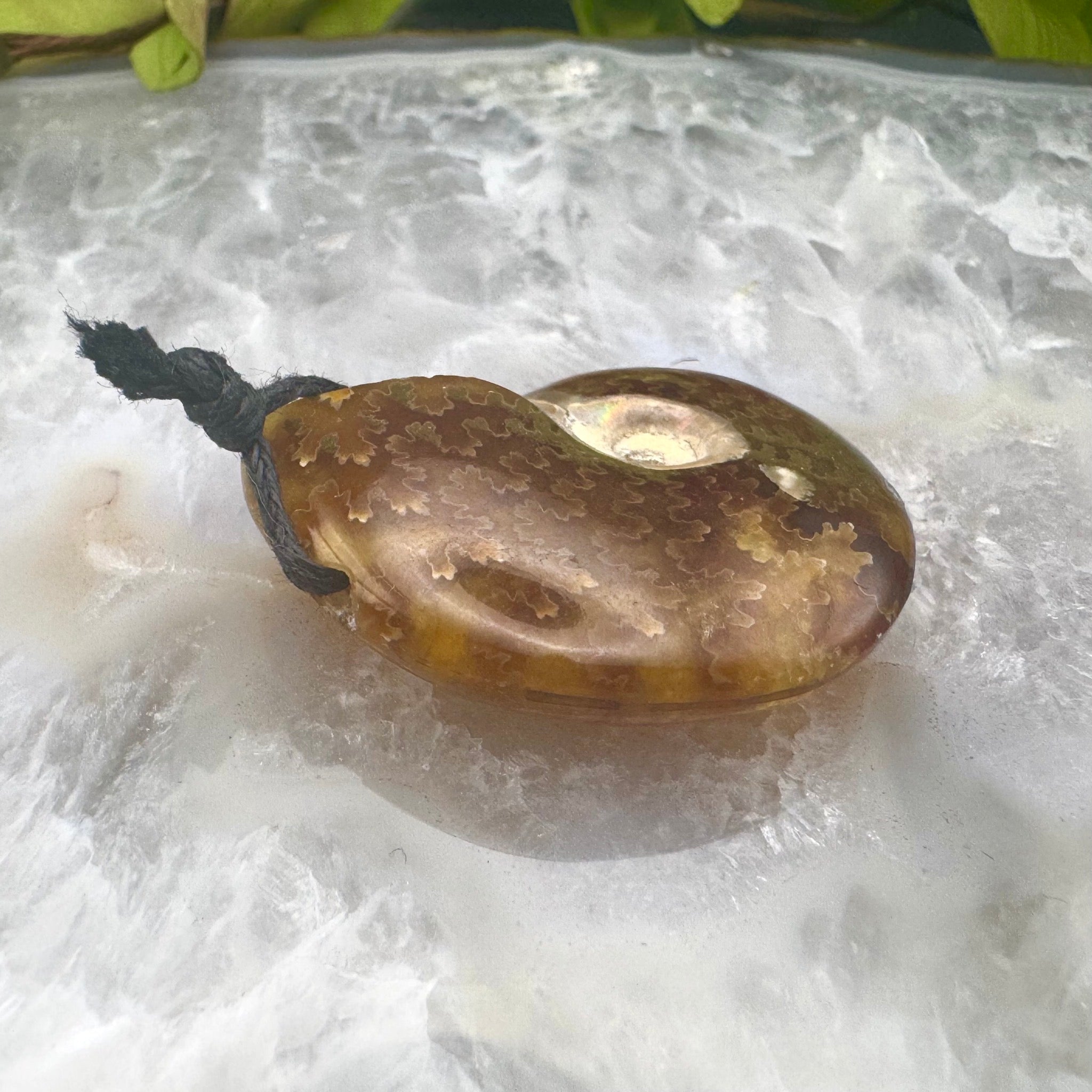 Ammonite Pendant