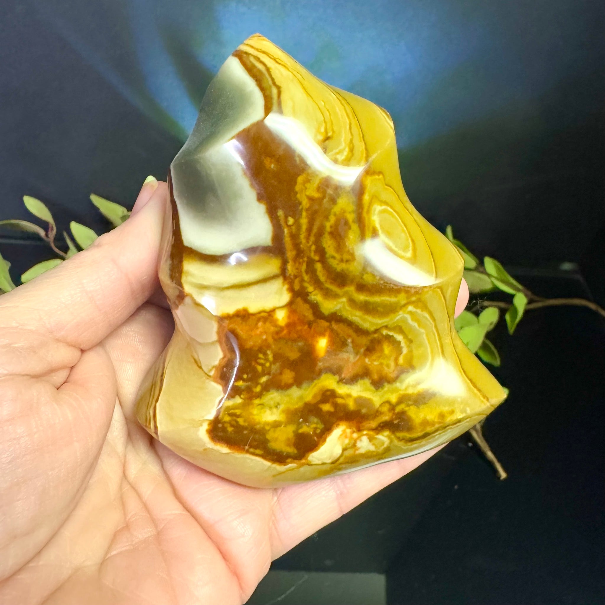 Orca Agate Free Form