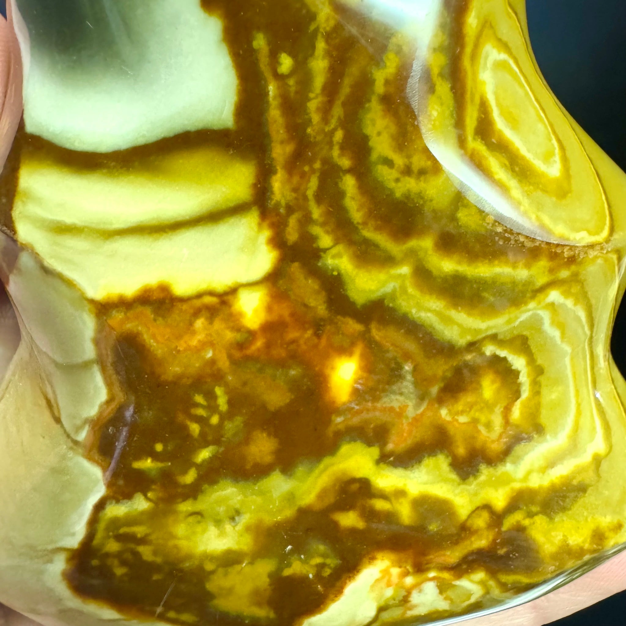 Orca Agate Free Form