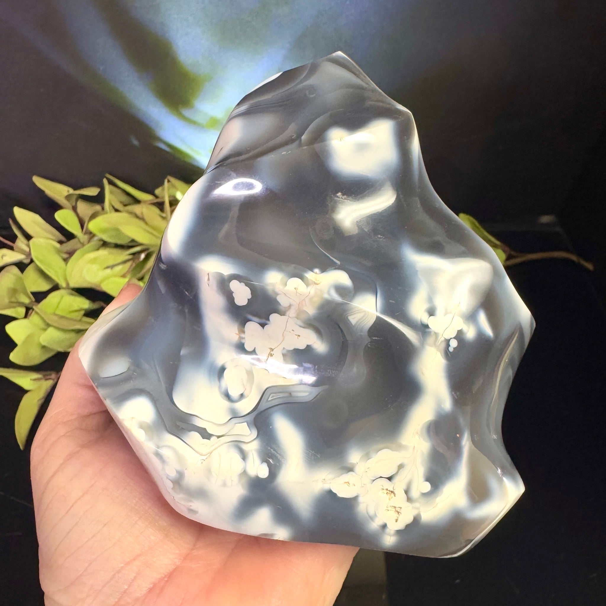 Orca Agate Flame