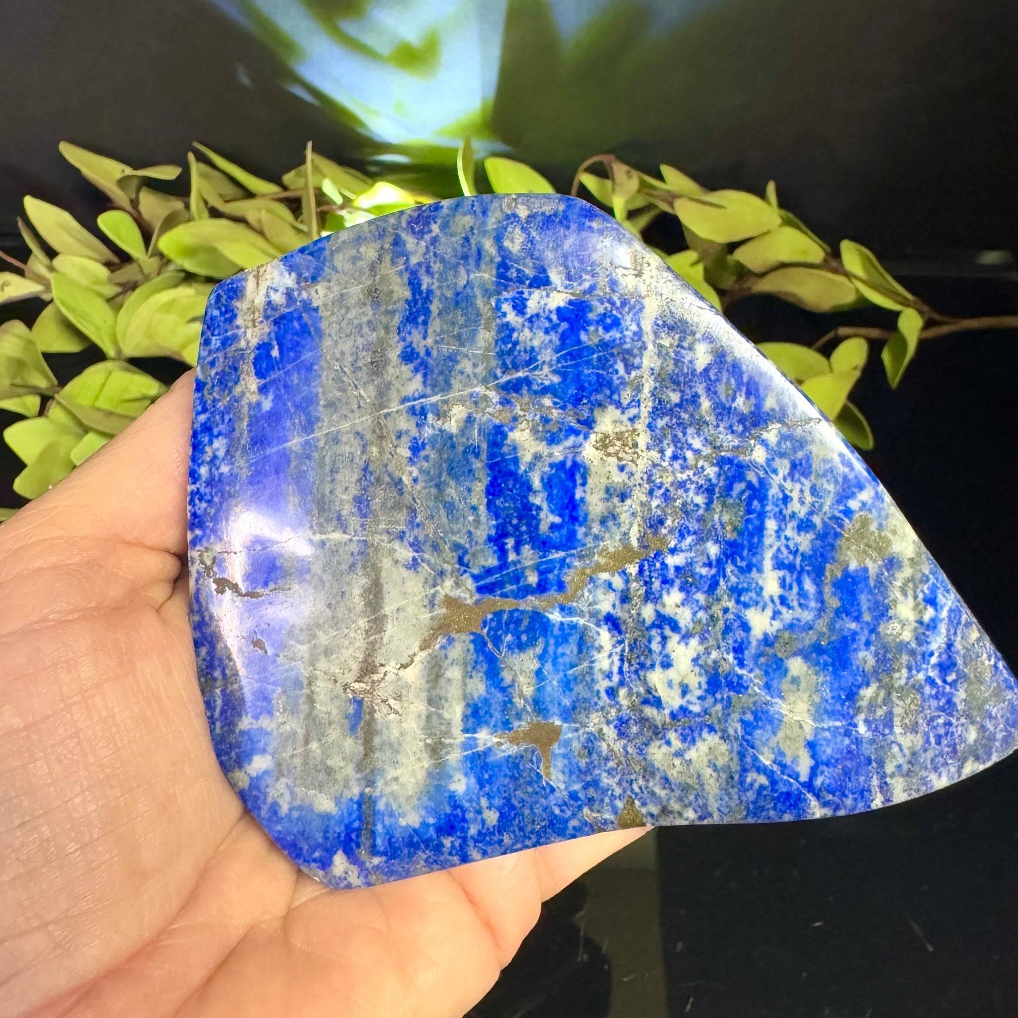 Lapis Lazuli Free Form