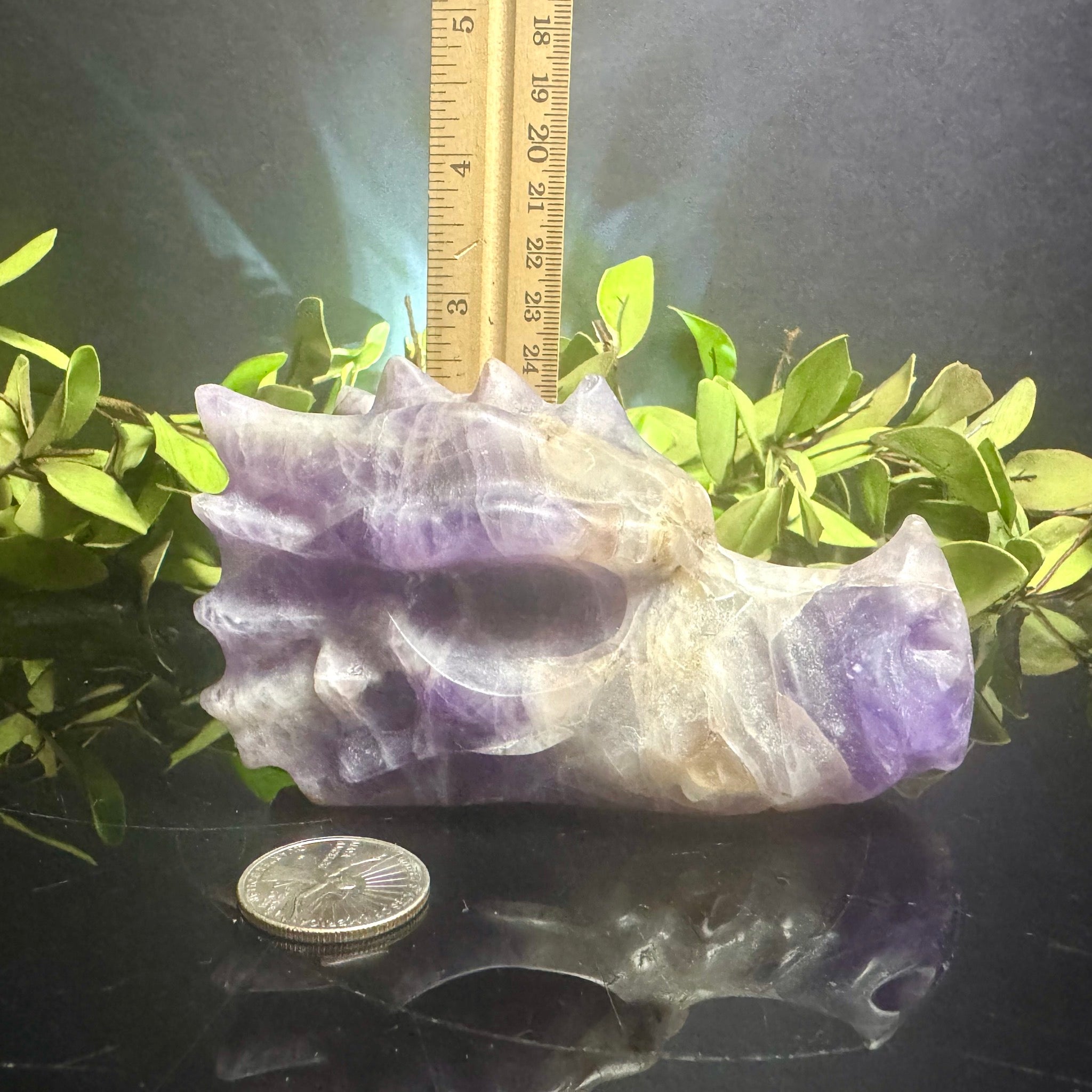 Chevron Amethyst Dragon