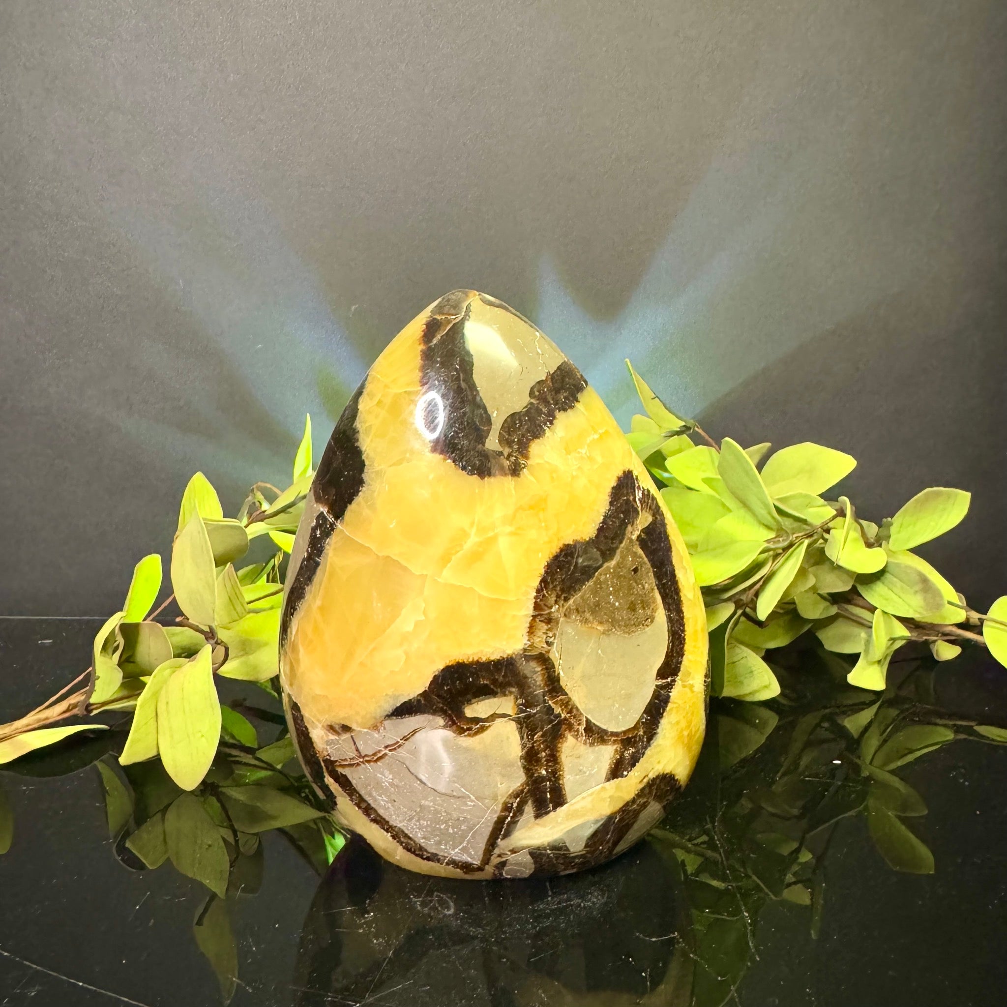 Septarian Free Form