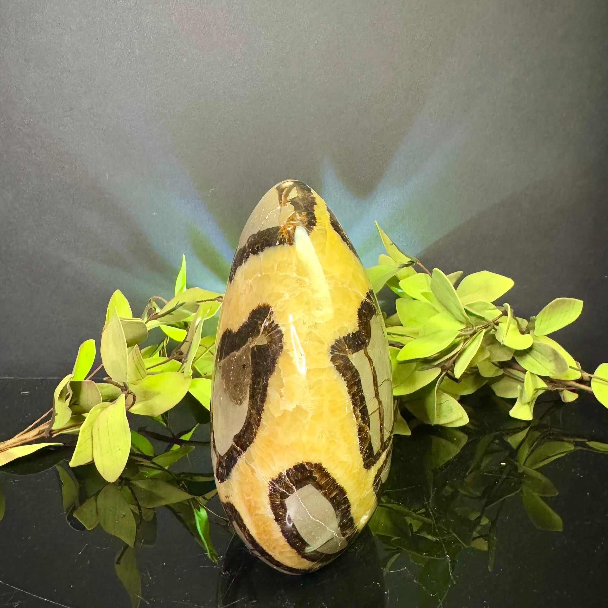 Septarian Free Form