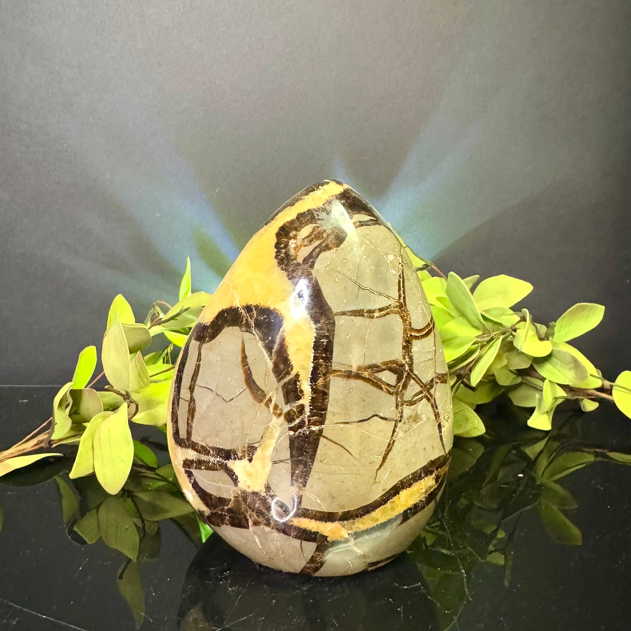 Septarian Free Form