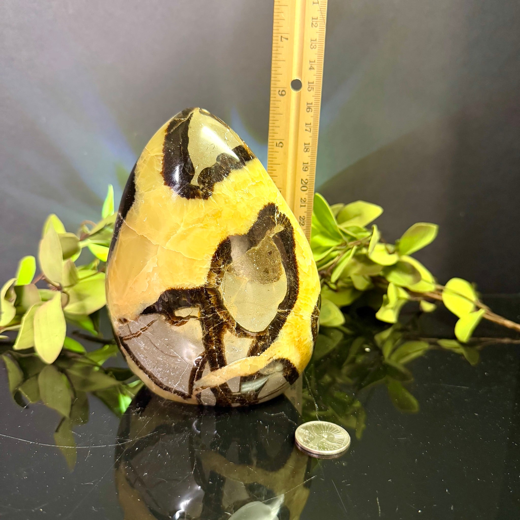 Septarian Free Form
