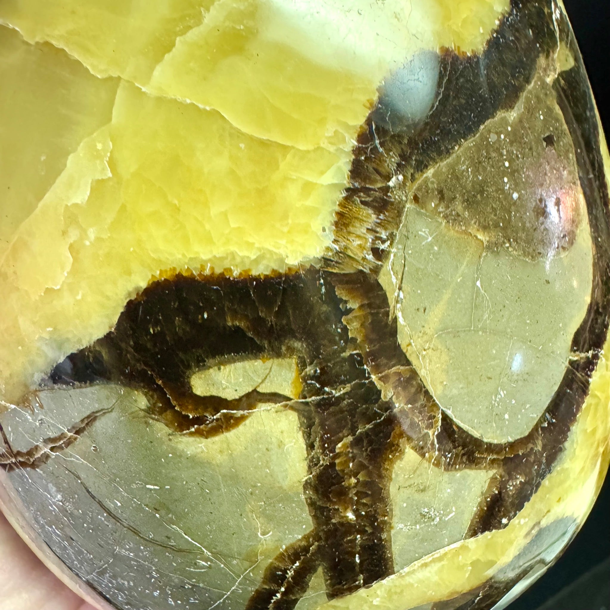 Septarian Free Form