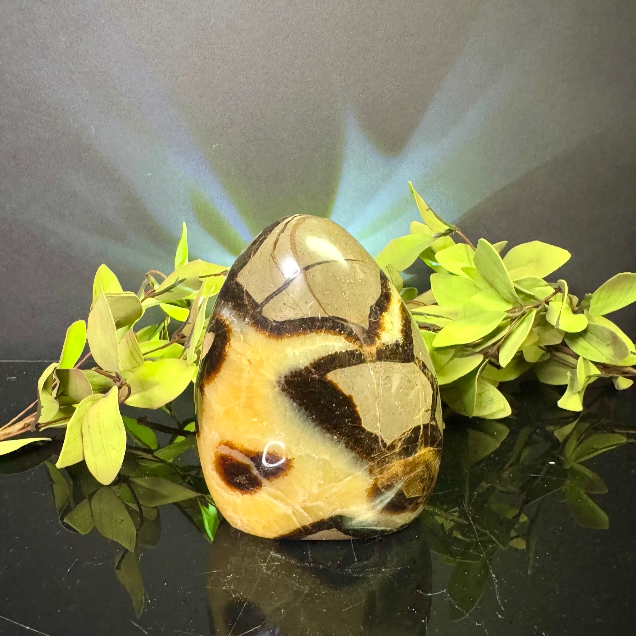 Septarian Free Form