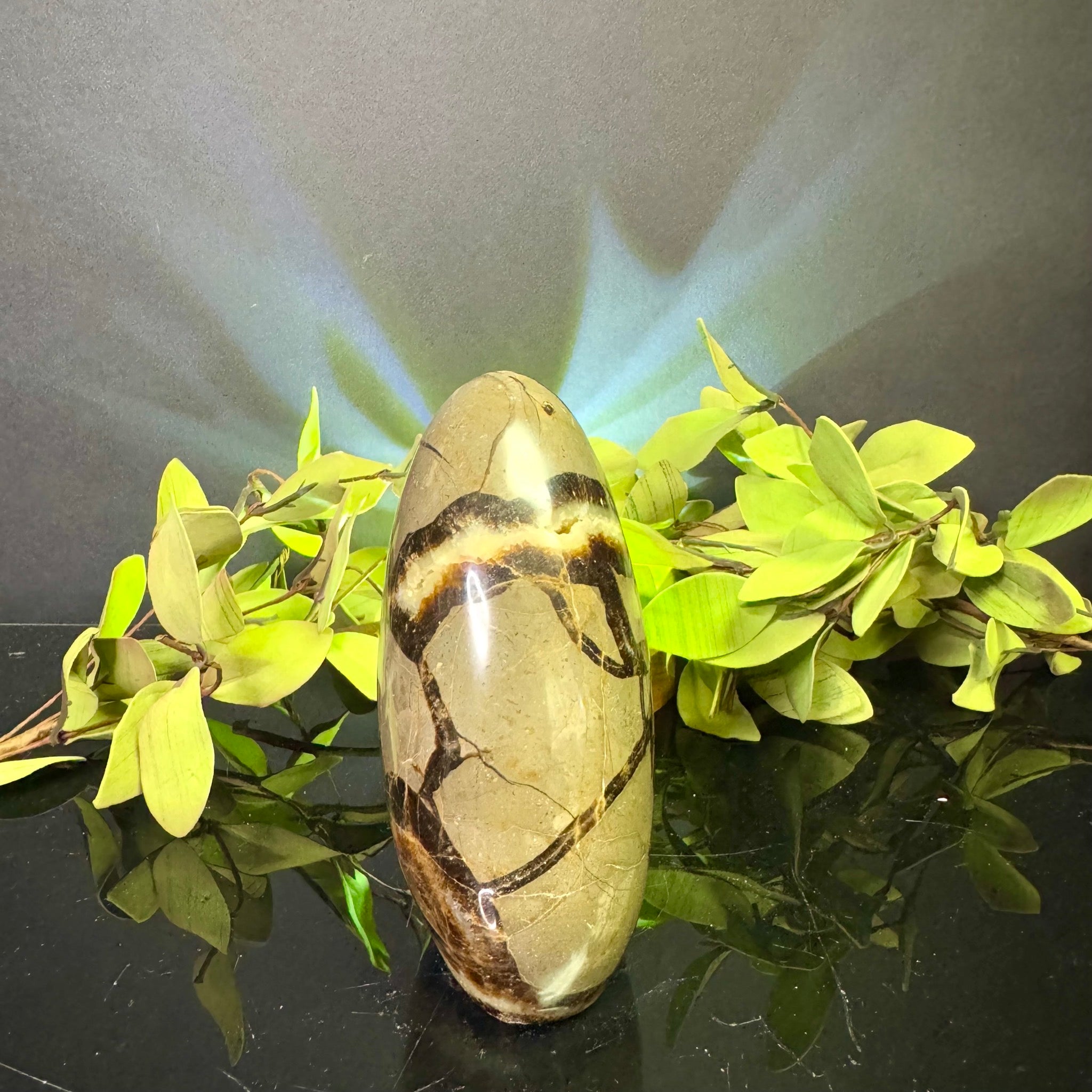 Septarian Free Form