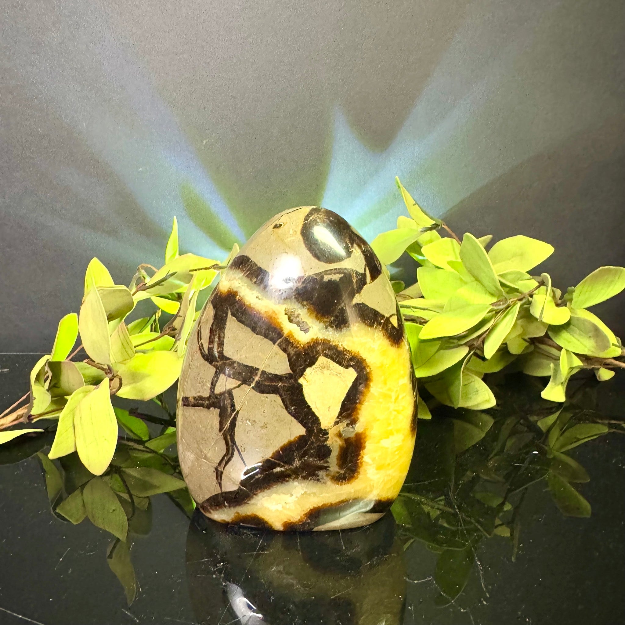 Septarian Free Form