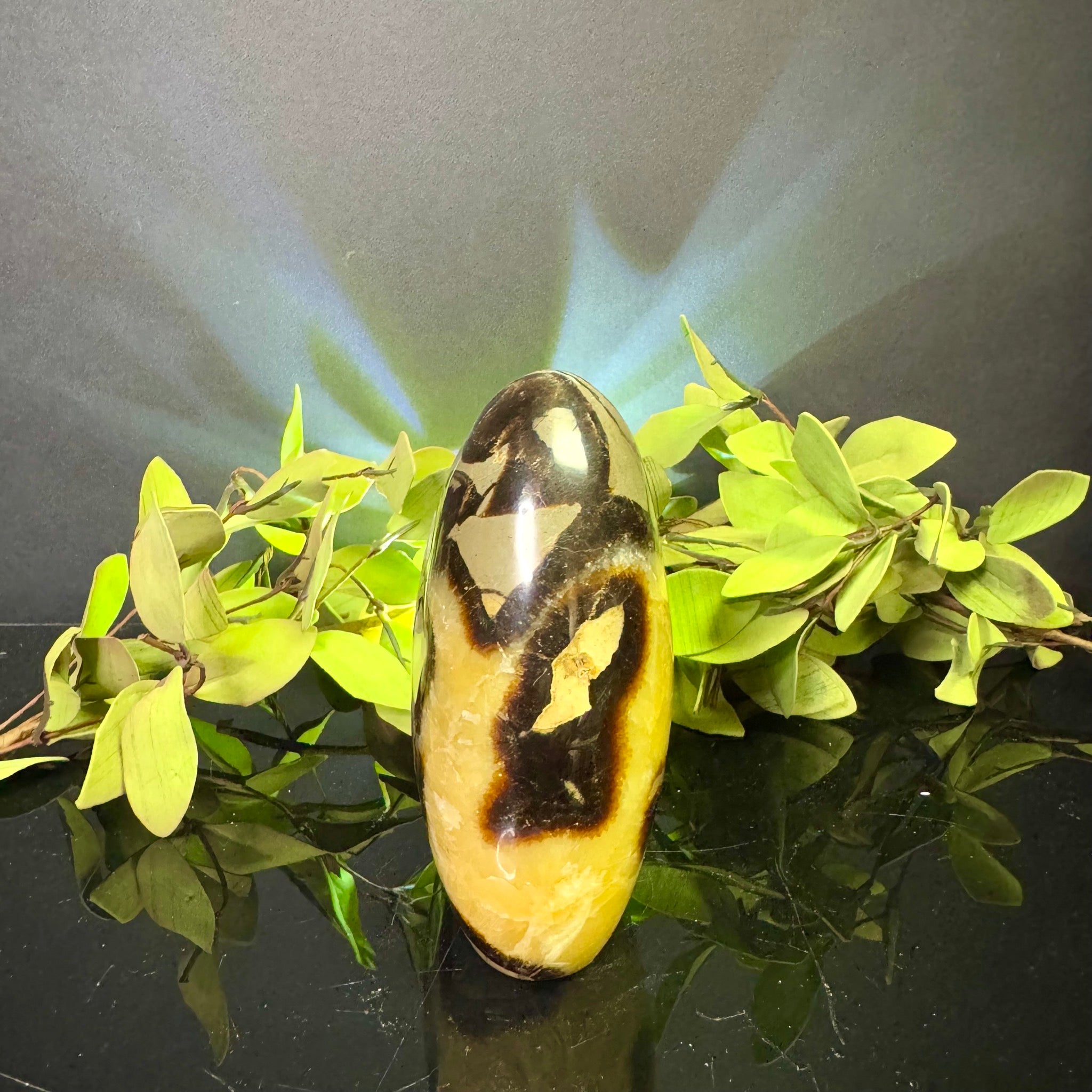 Septarian Free Form