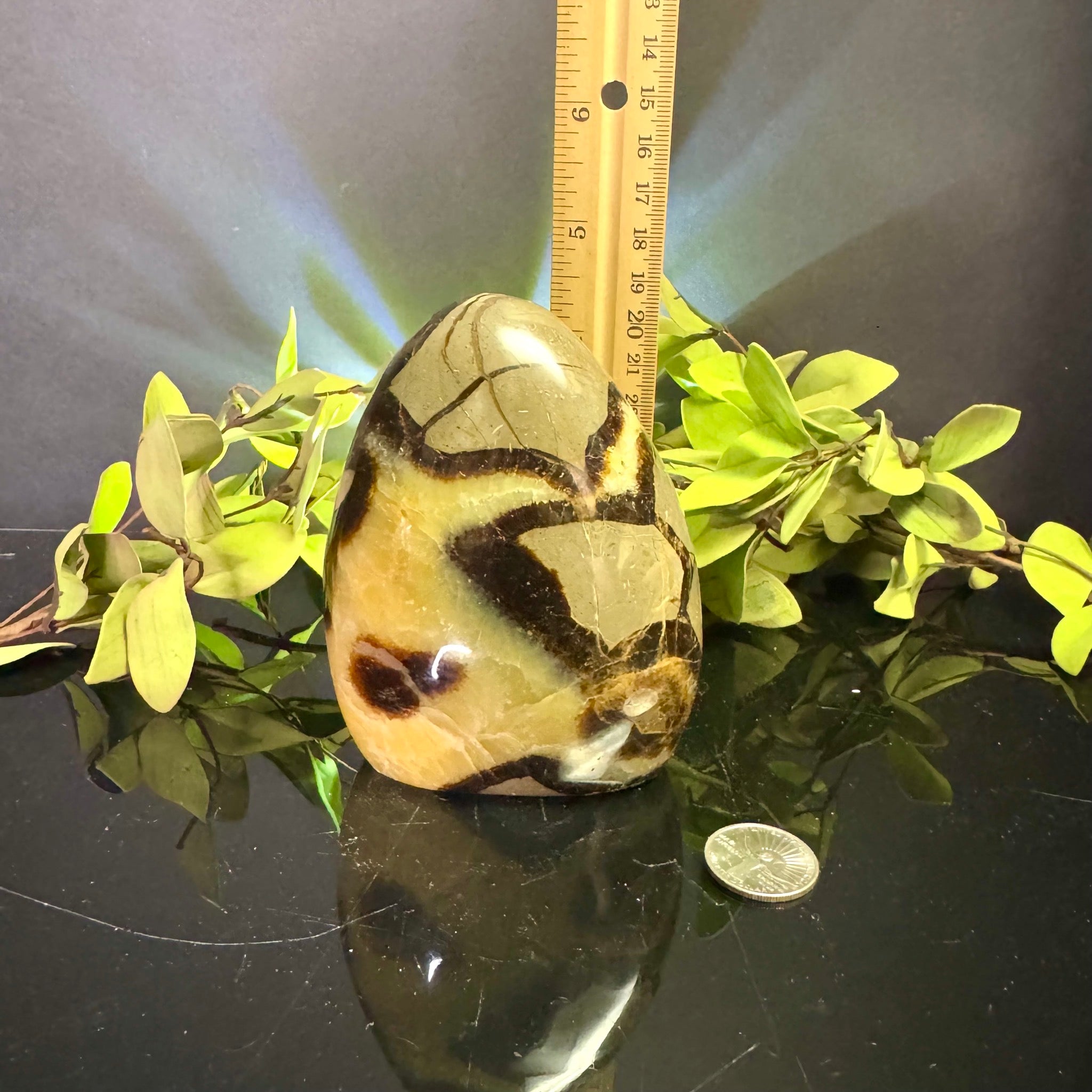 Septarian Free Form