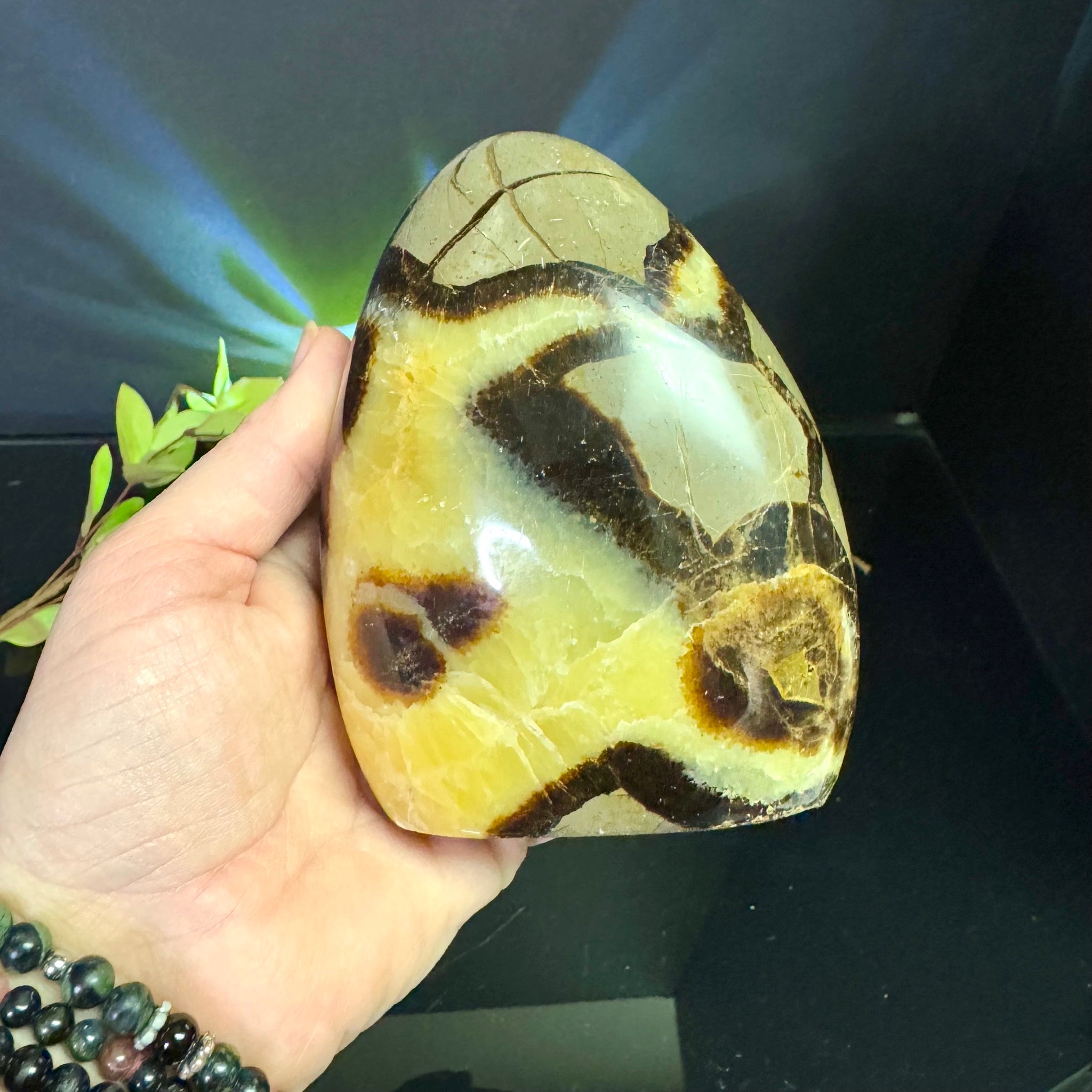 Septarian Free Form