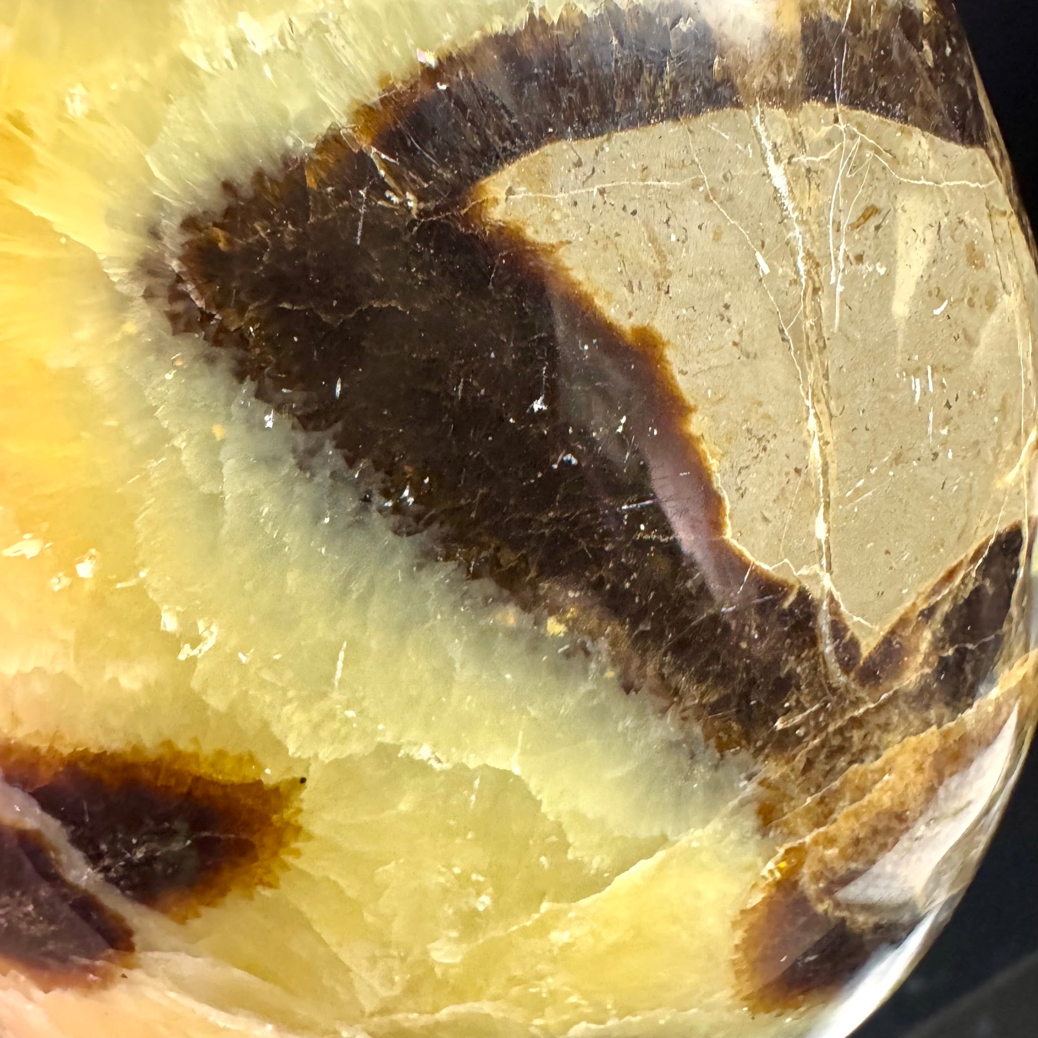 Septarian Free Form