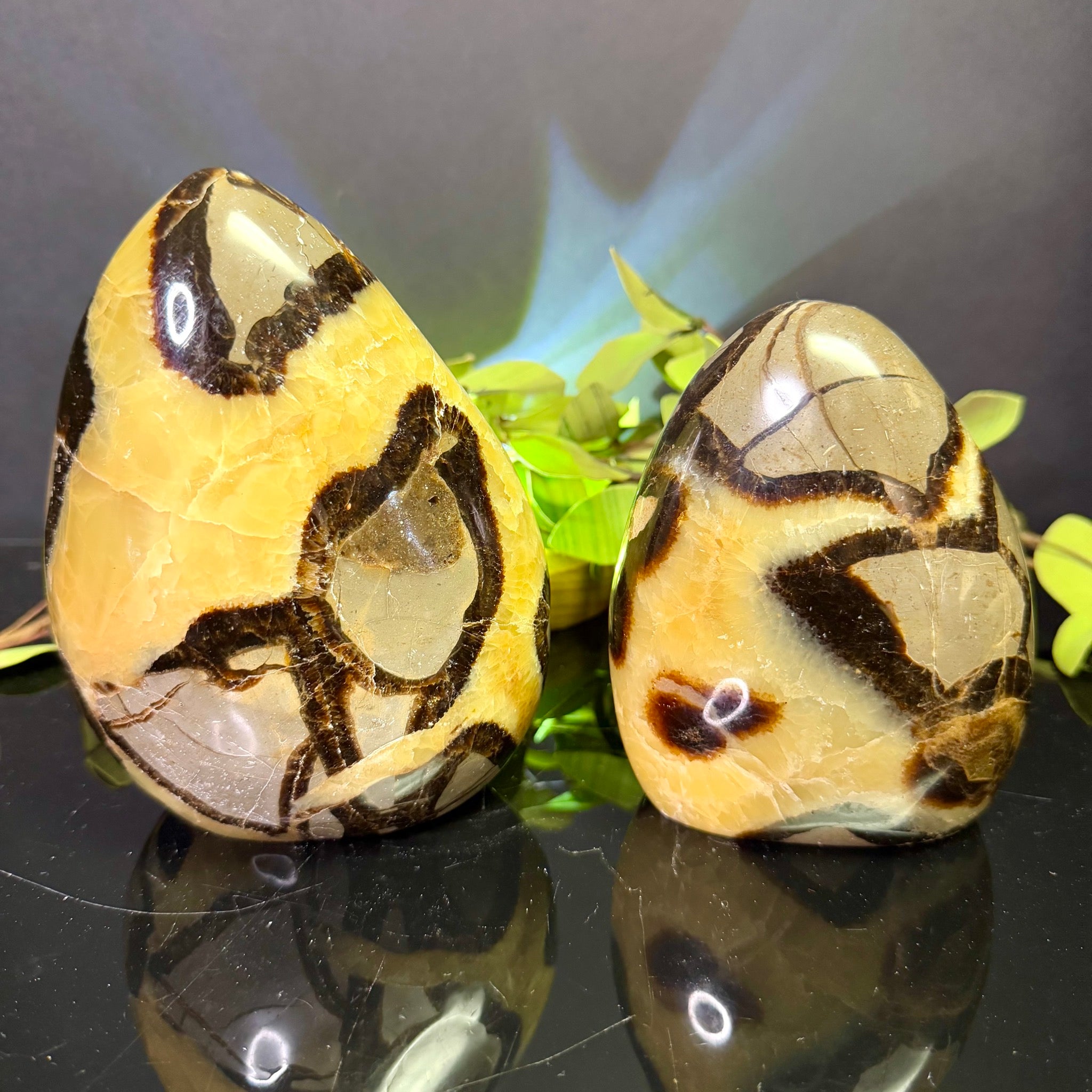 Septarian Free Form