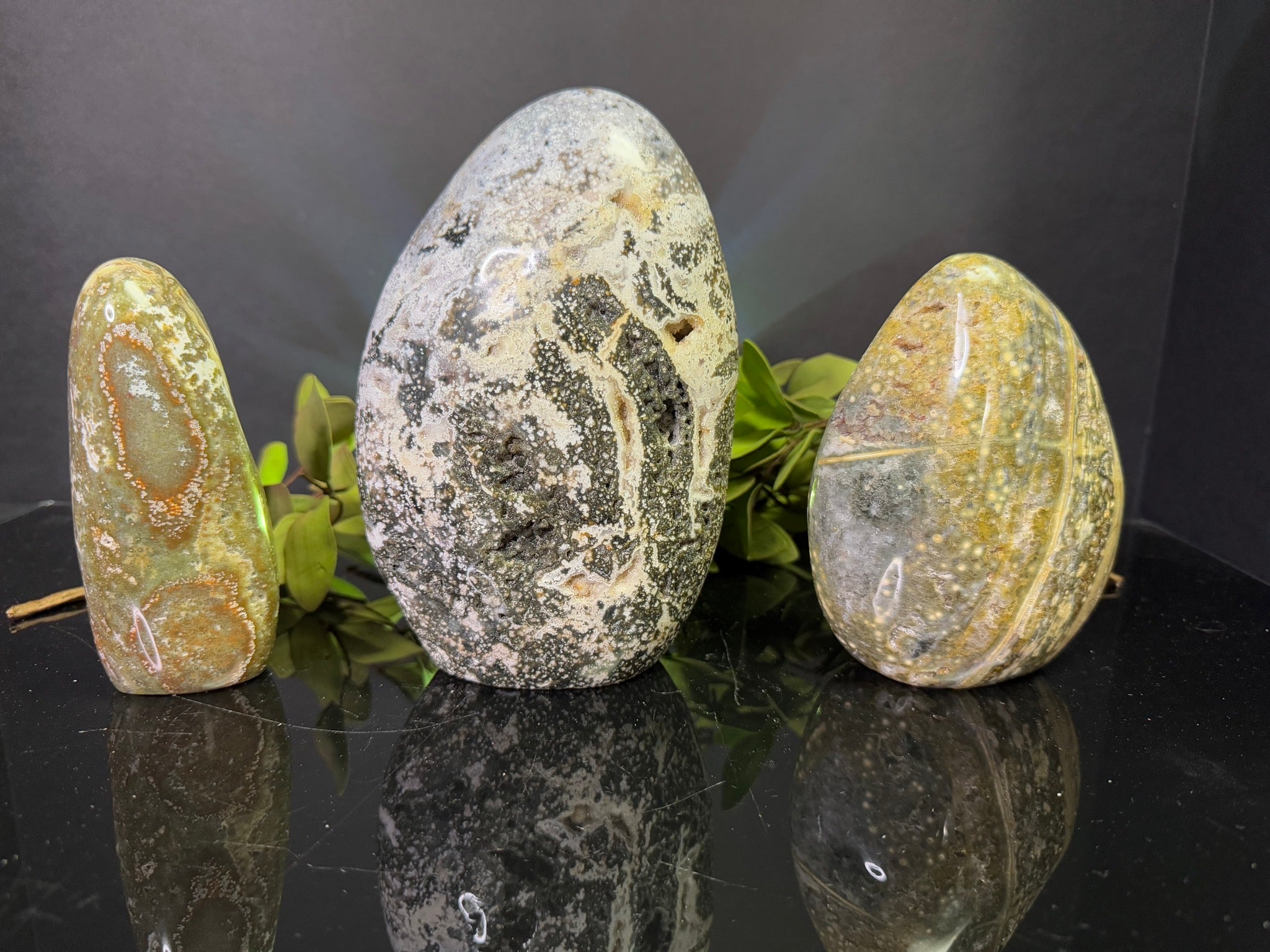 Ocean Jasper Free Form