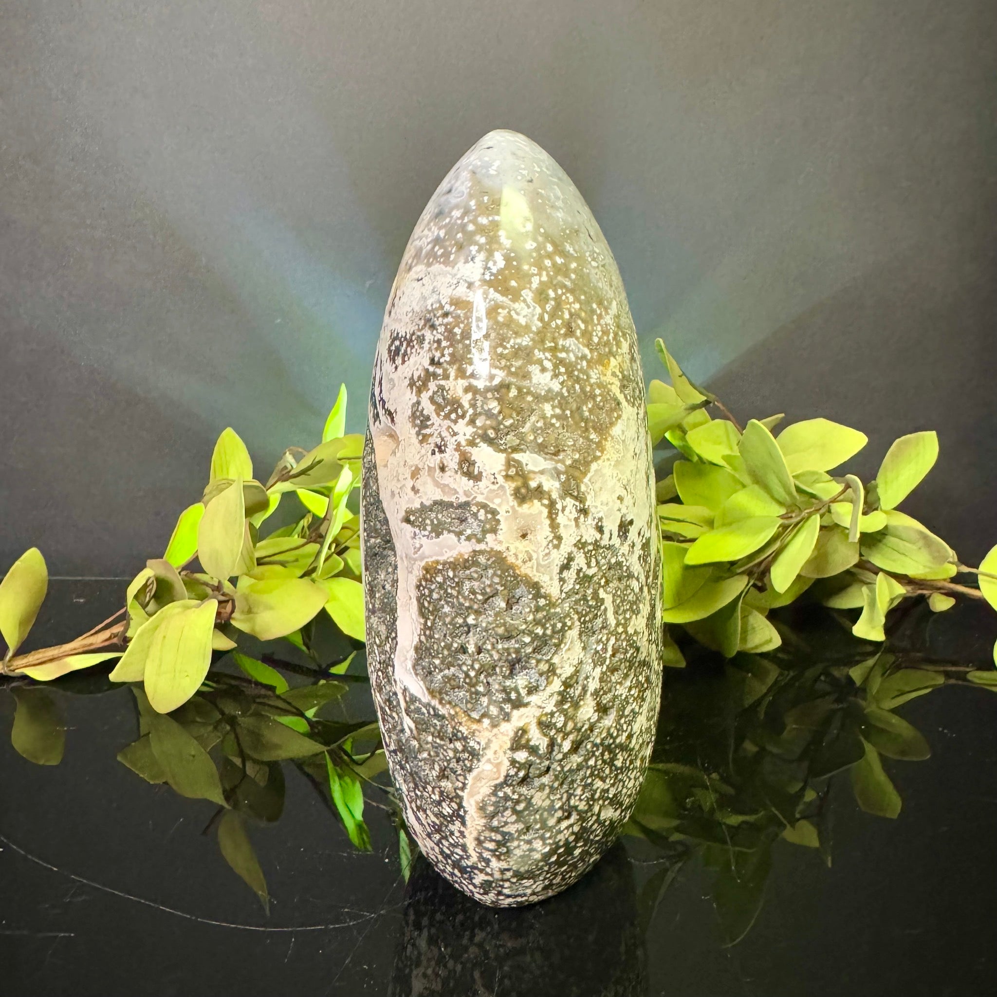 Ocean Jasper Free Form