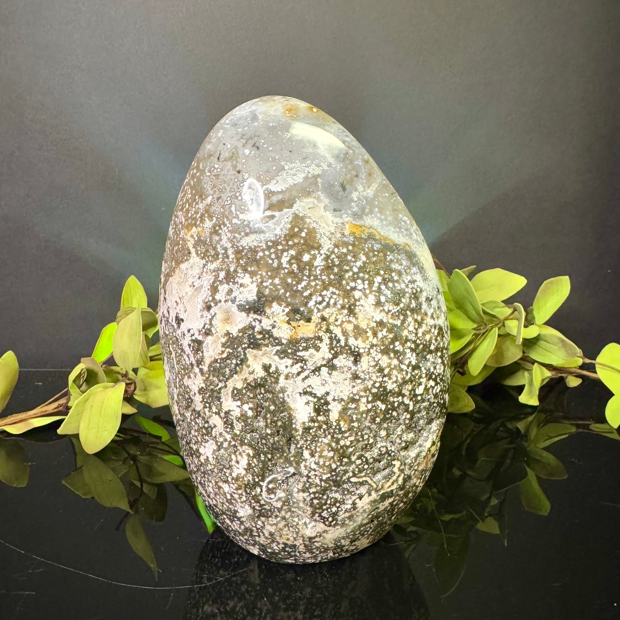 Ocean Jasper Free Form
