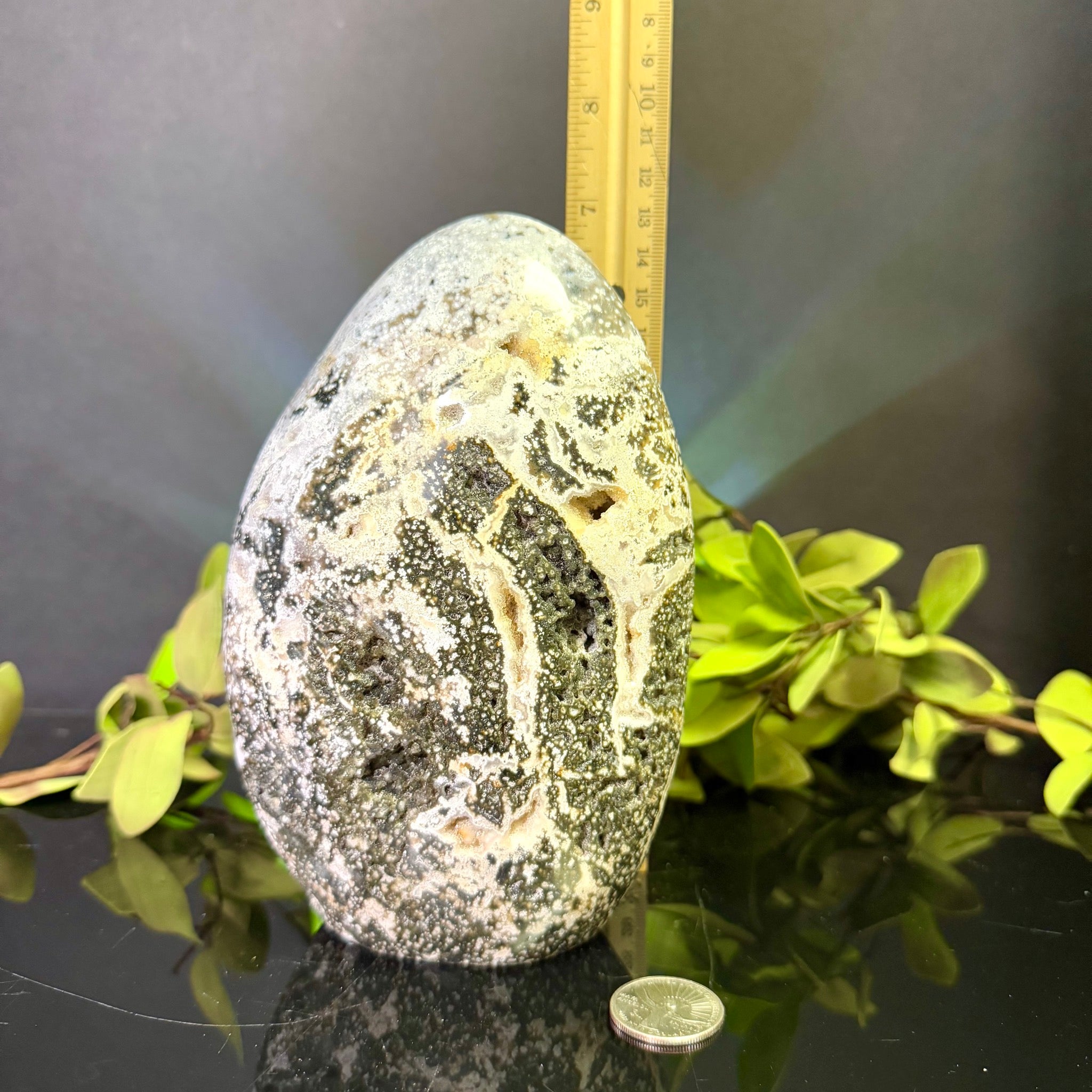 Ocean Jasper Free Form