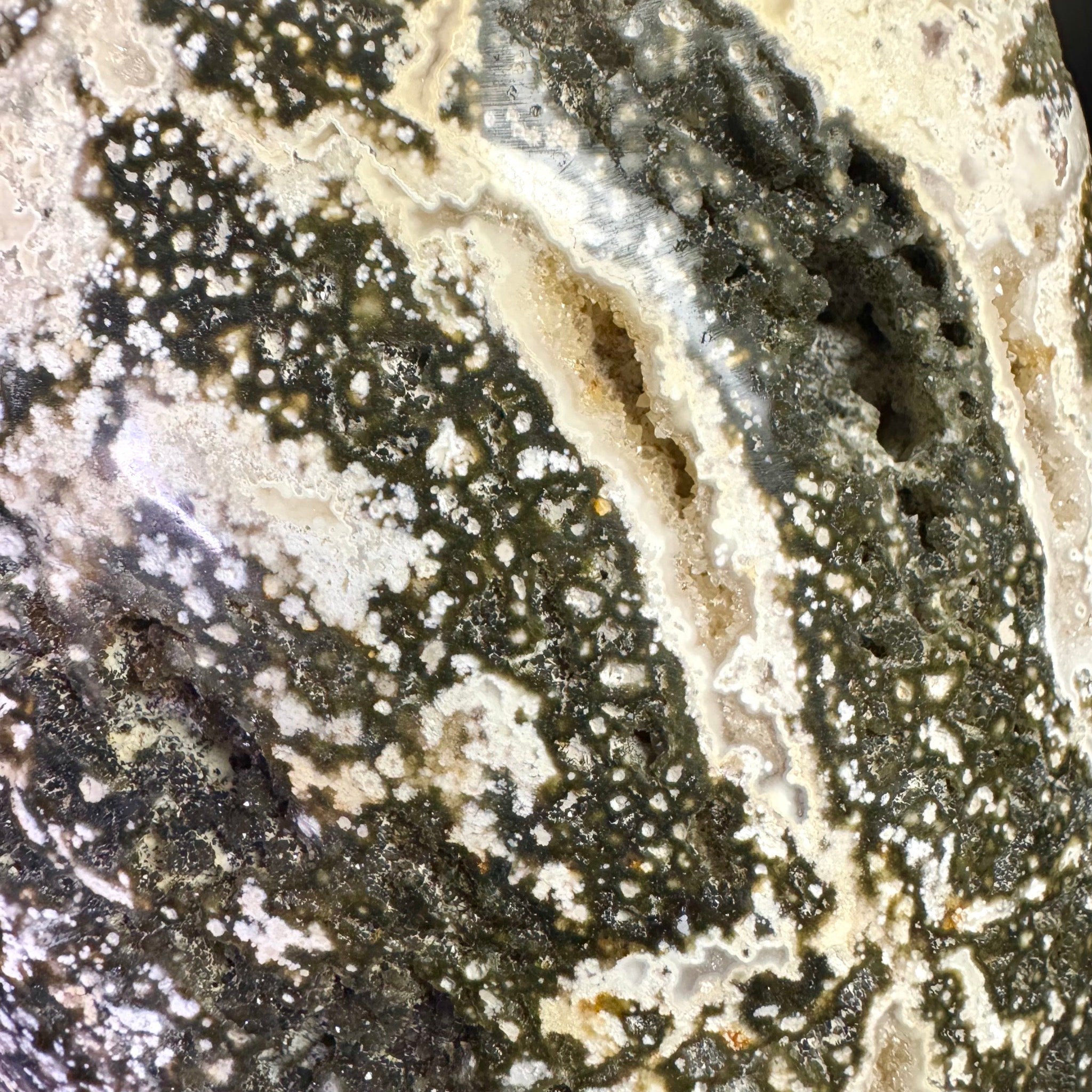 Ocean Jasper Free Form