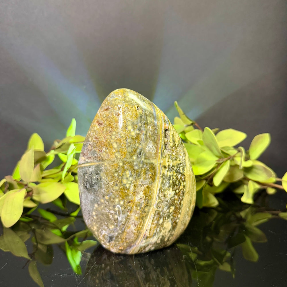 Ocean Jasper Free Form