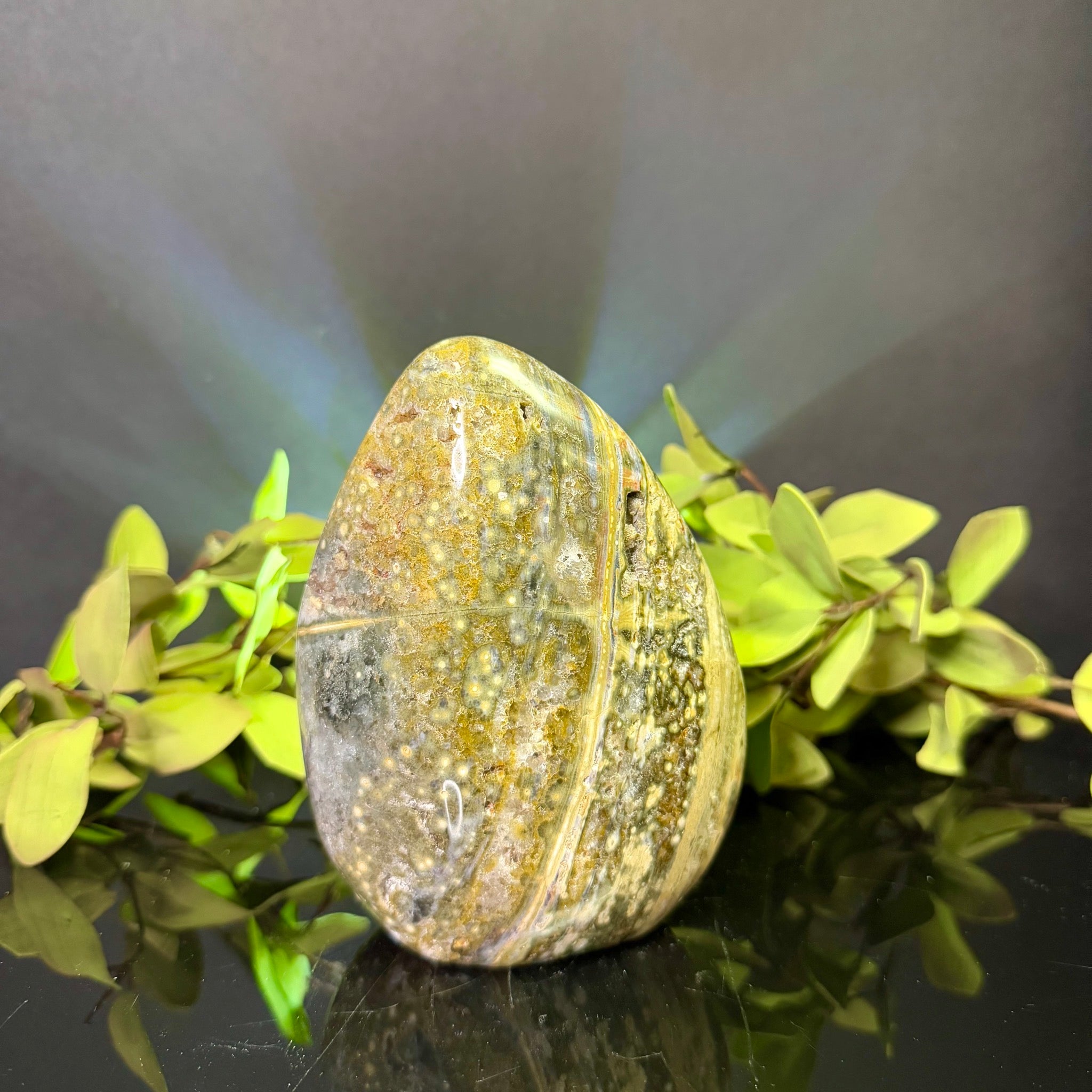 Ocean Jasper Free Form