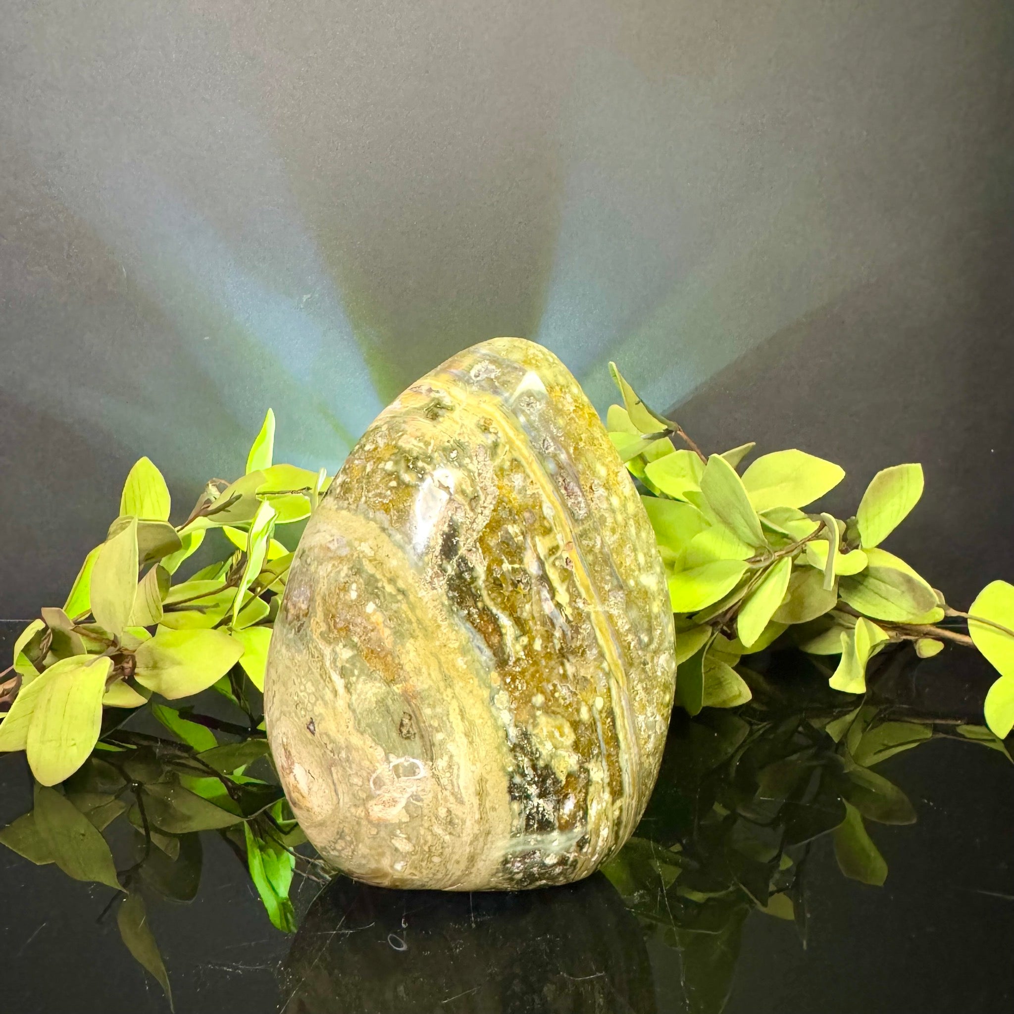 Ocean Jasper Free Form