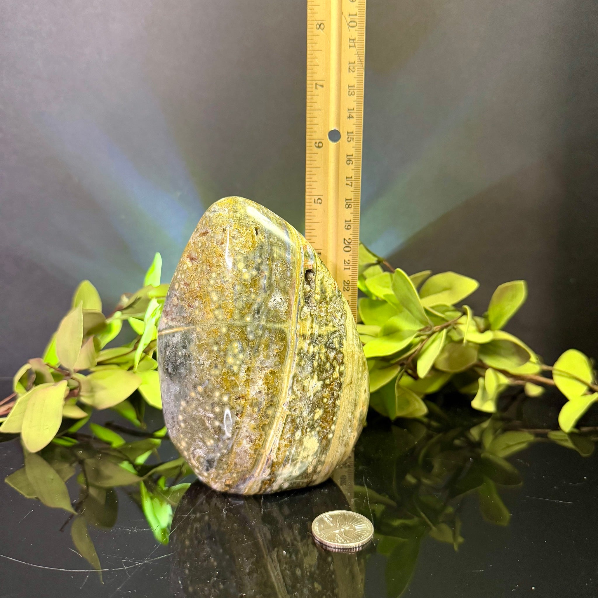 Ocean Jasper Free Form